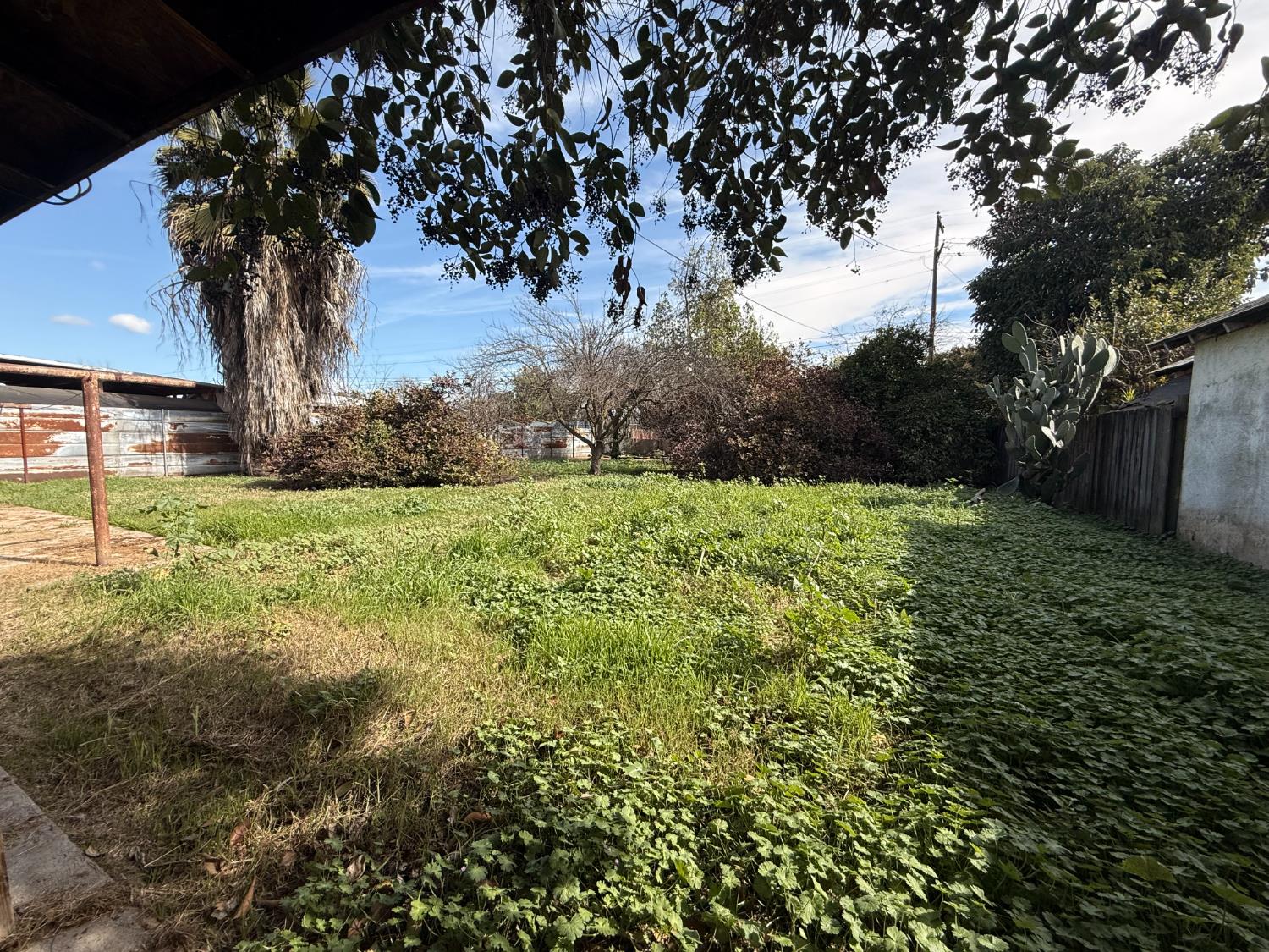 40284 Ralph Rd, Cutler, CA 93615