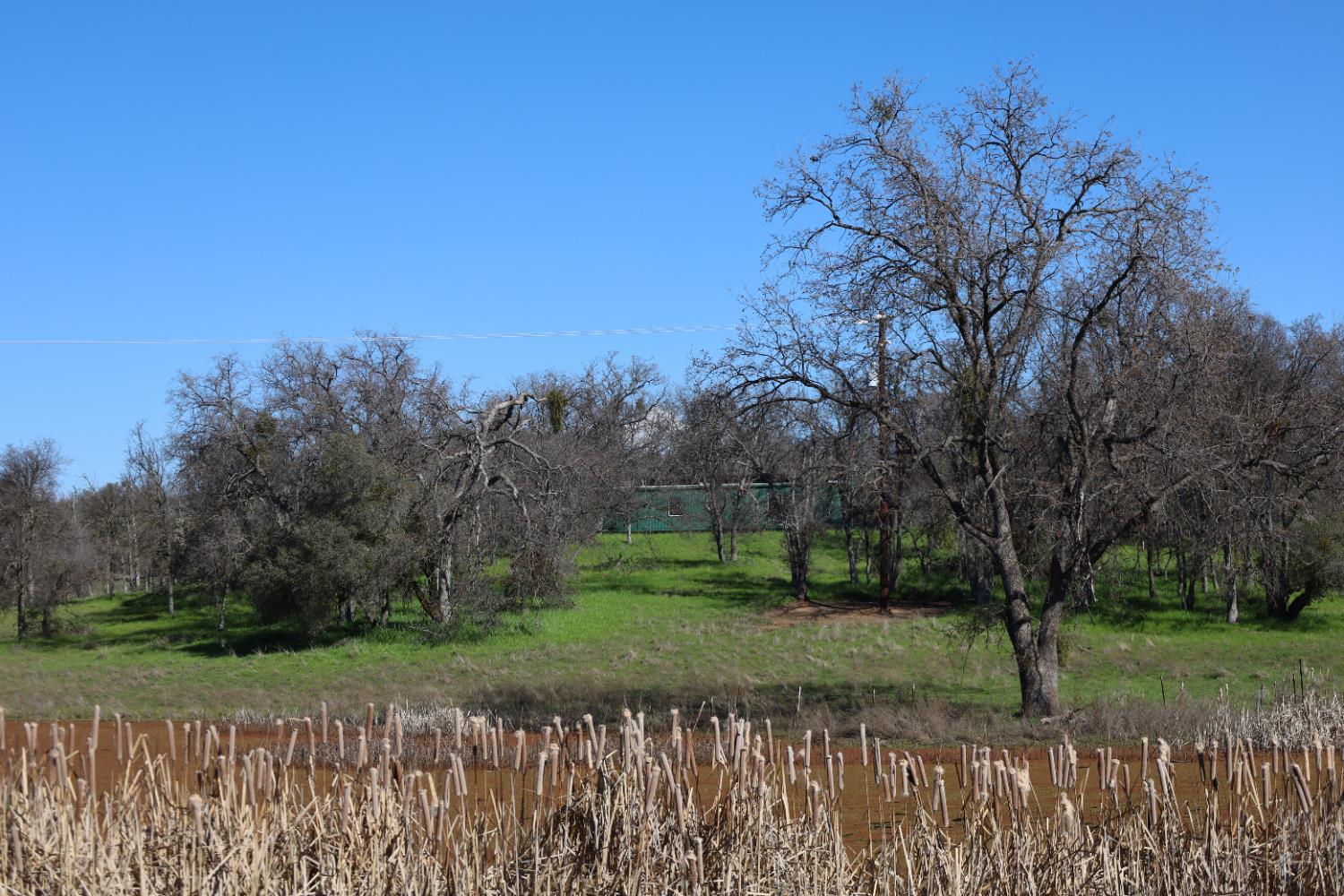 10 Douglas Rd S, Coarsegold, CA 93614