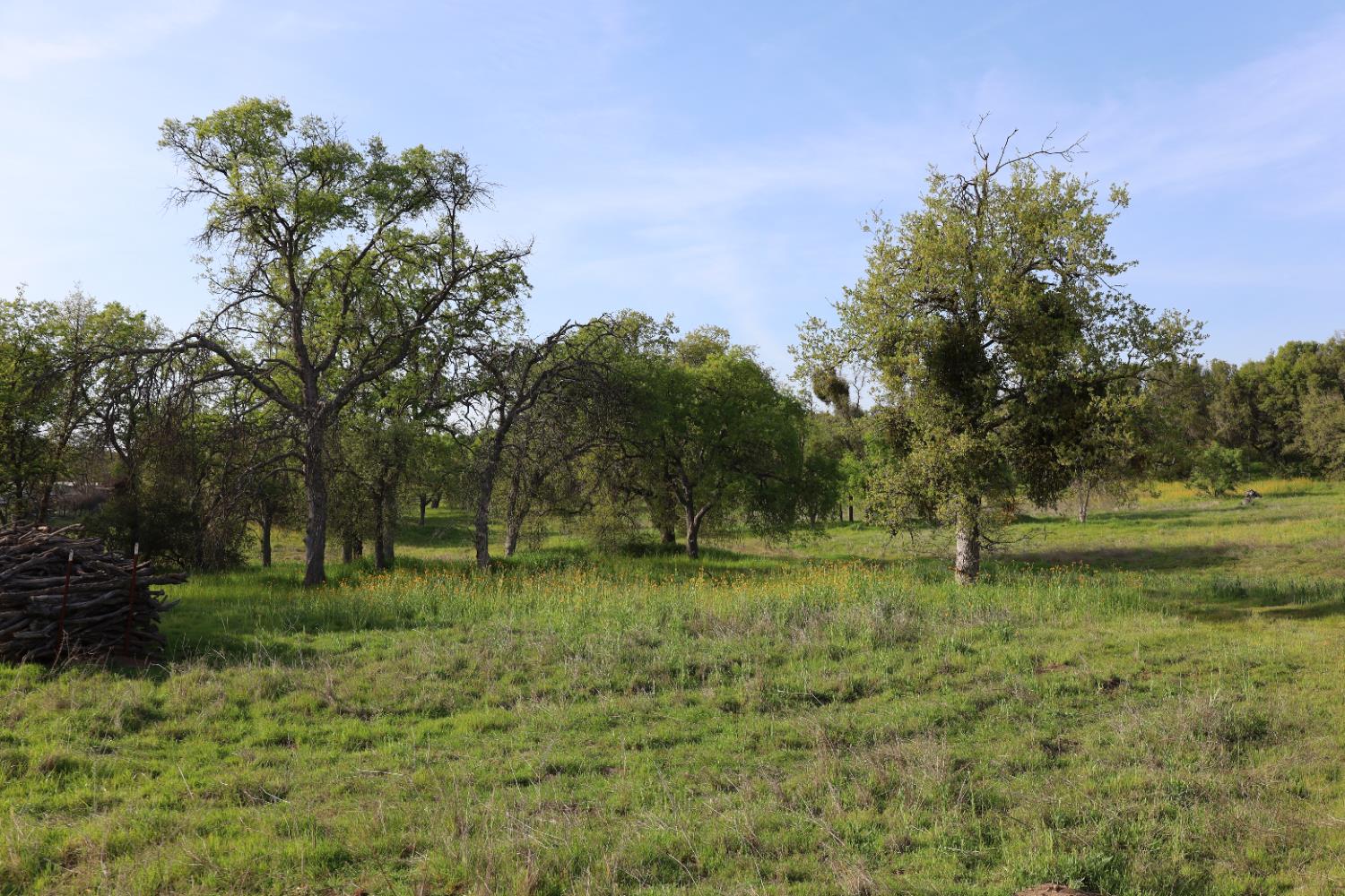 10 Douglas Rd S, Coarsegold, CA 93614