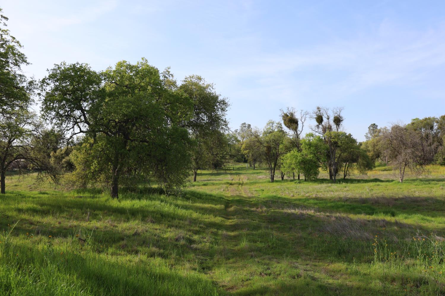 10 Douglas Rd S, Coarsegold, CA 93614