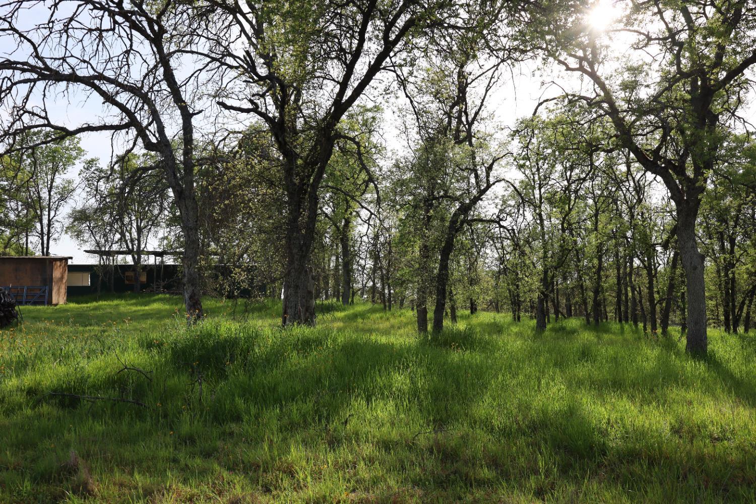 10 Douglas Rd S, Coarsegold, CA 93614