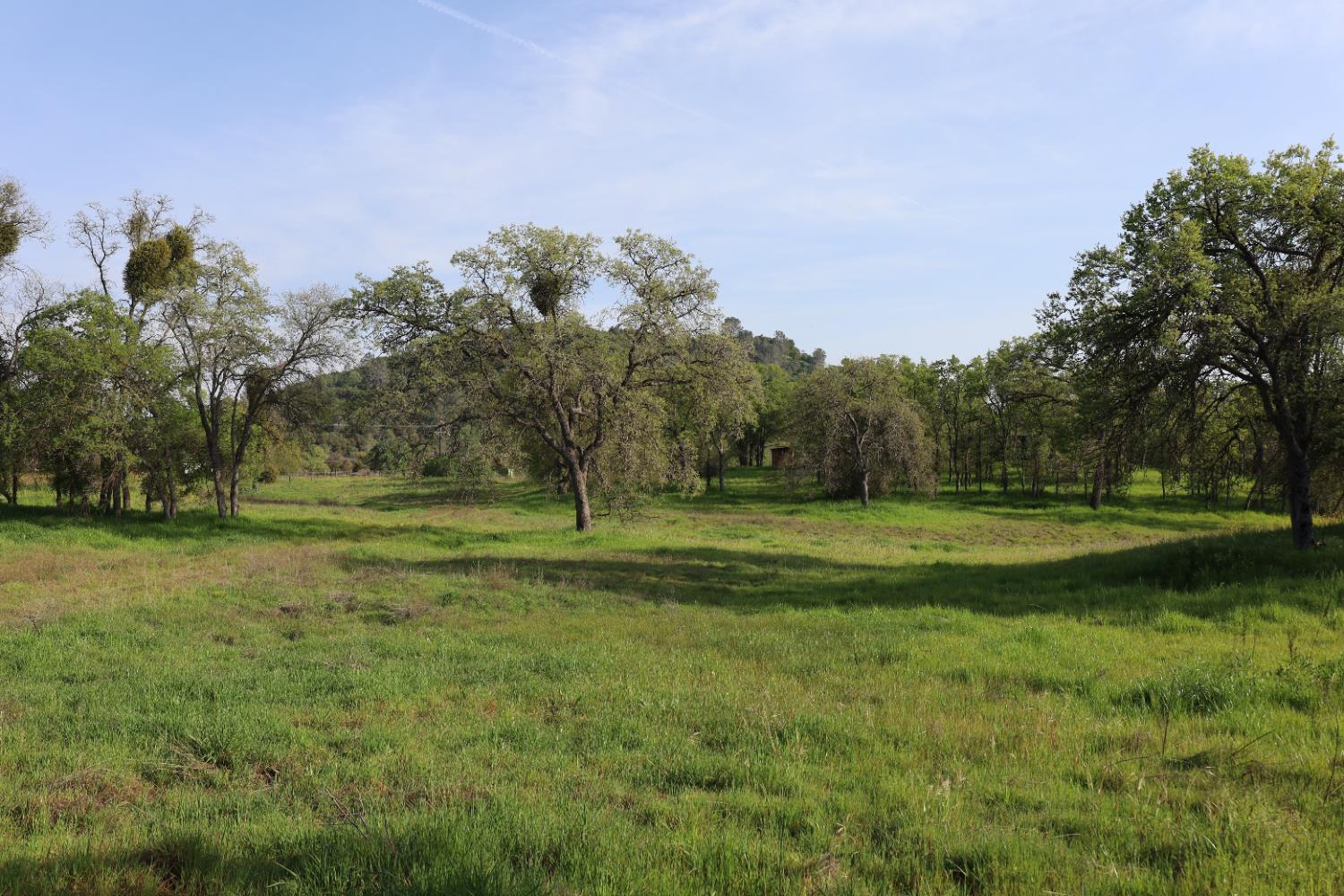 10 Douglas Rd S, Coarsegold, CA 93614