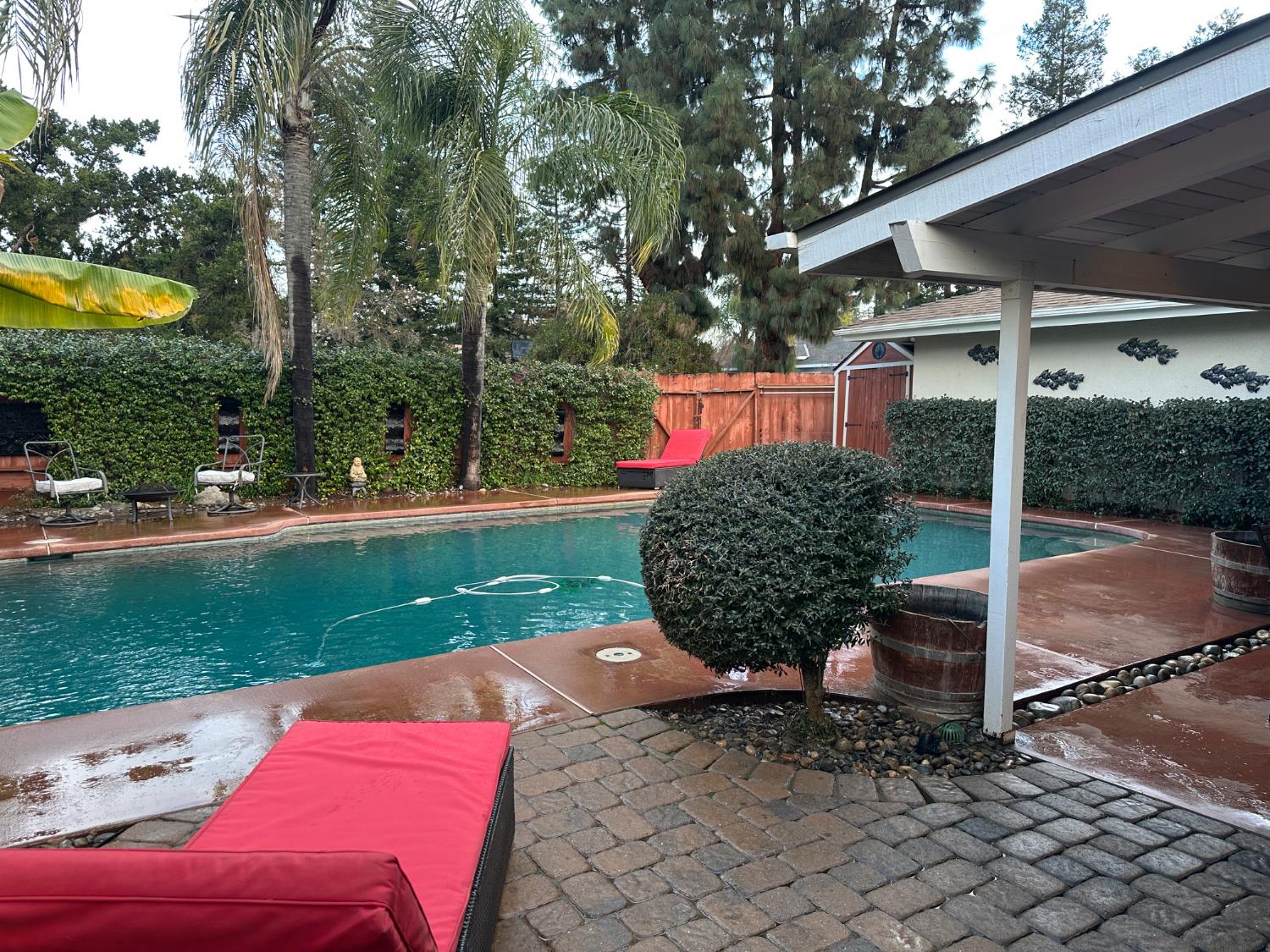 394 S Oak Dr, Reedley, CA 93654