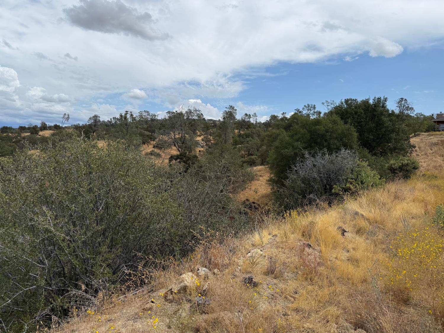 1572 Lot # Lilley Mountain Dr, Coarsegold, CA 93614