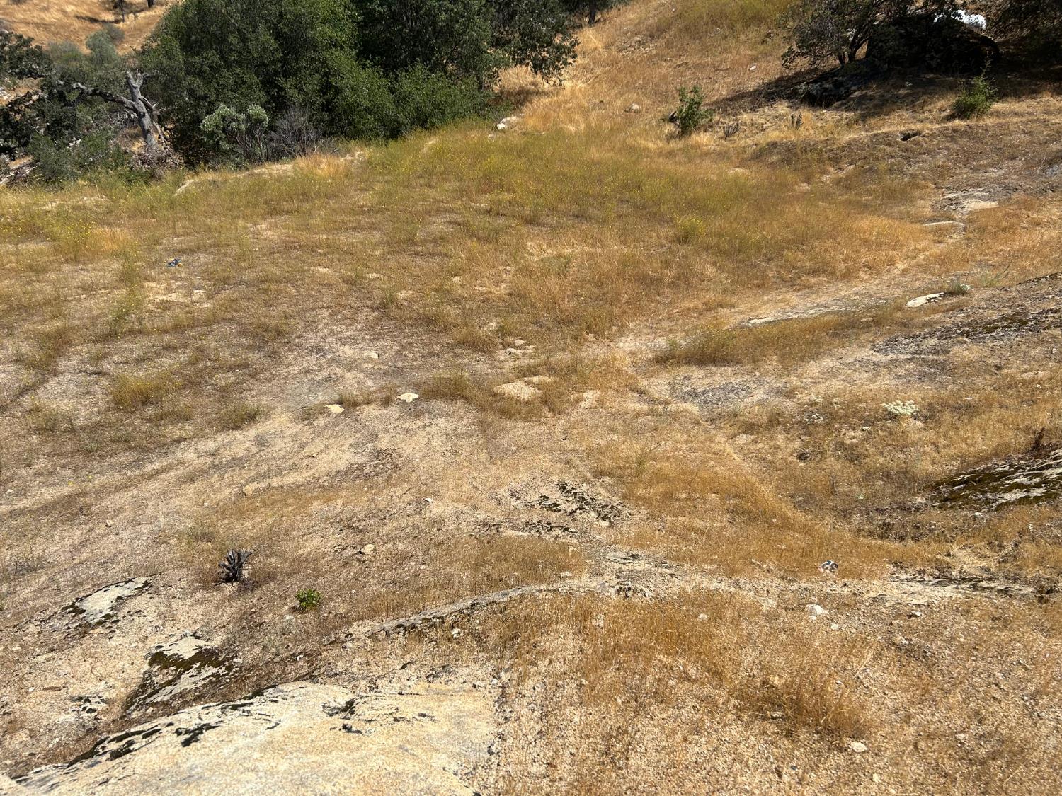 1572 Lot # Lilley Mountain Dr, Coarsegold, CA 93614