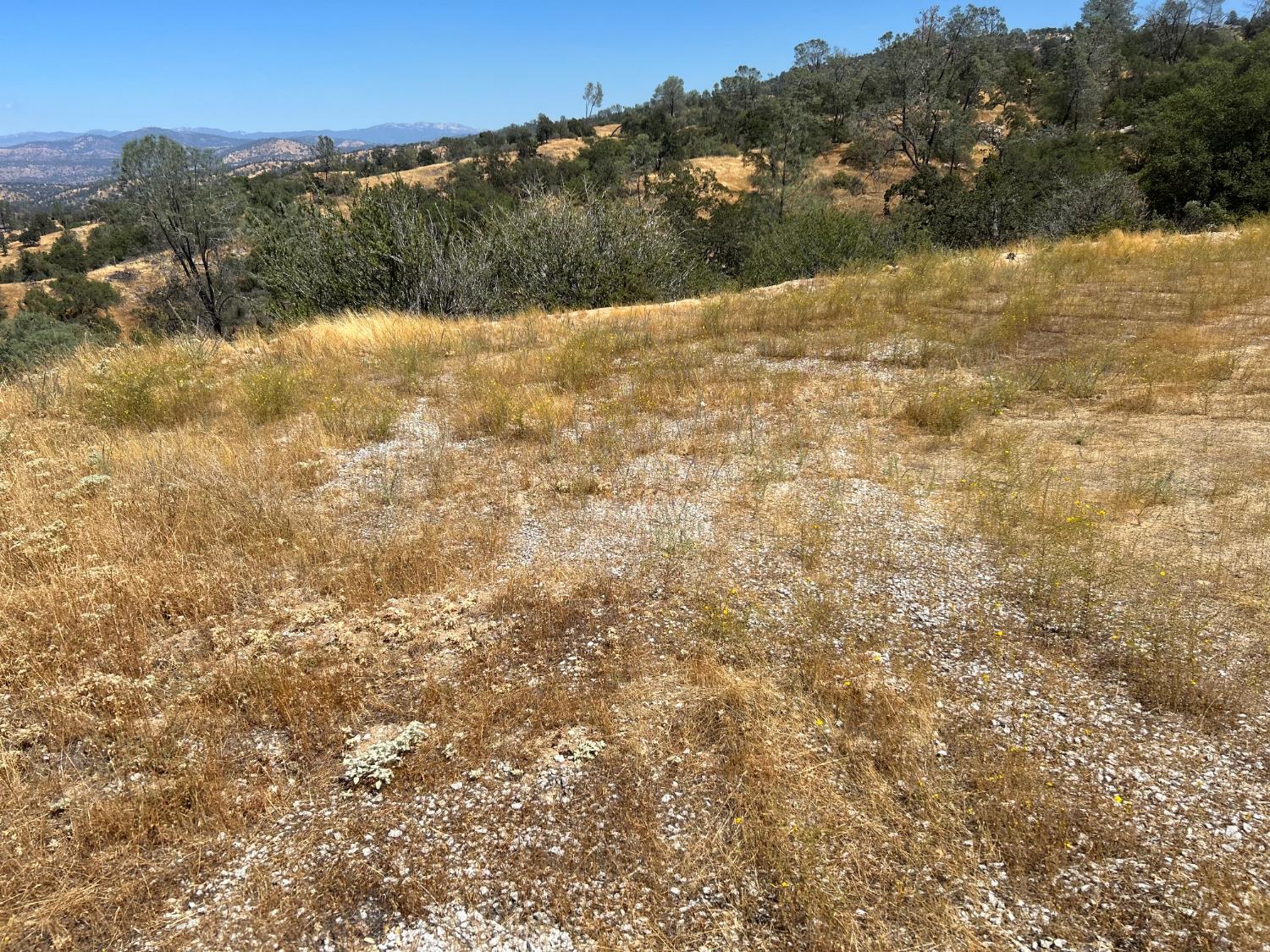 1572 Lot # Lilley Mountain Dr, Coarsegold, CA 93614
