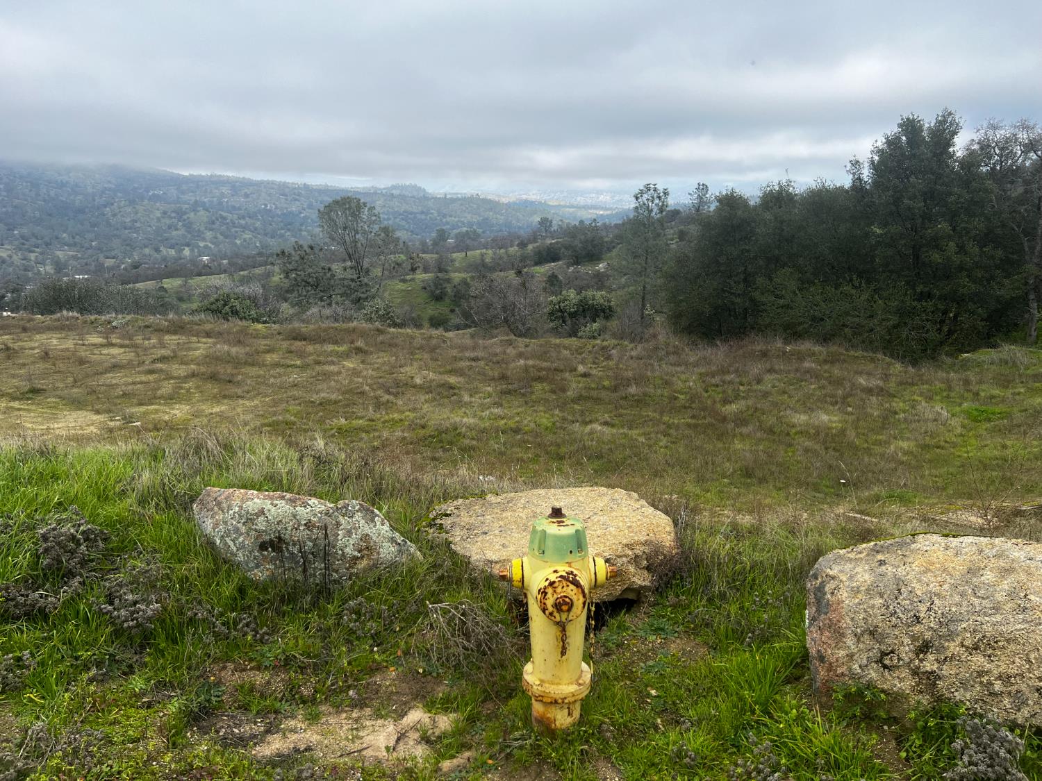 1572 Lot # Lilley Mountain Dr, Coarsegold, CA 93614