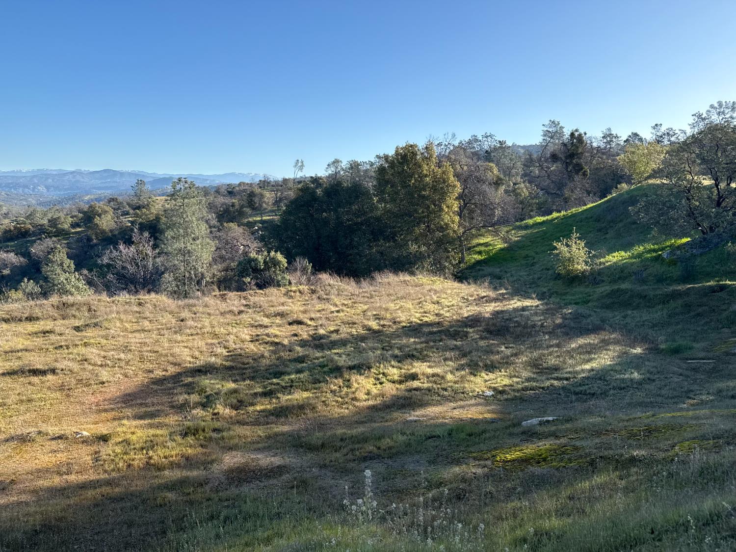 1572 Lot # Lilley Mountain Dr, Coarsegold, CA 93614