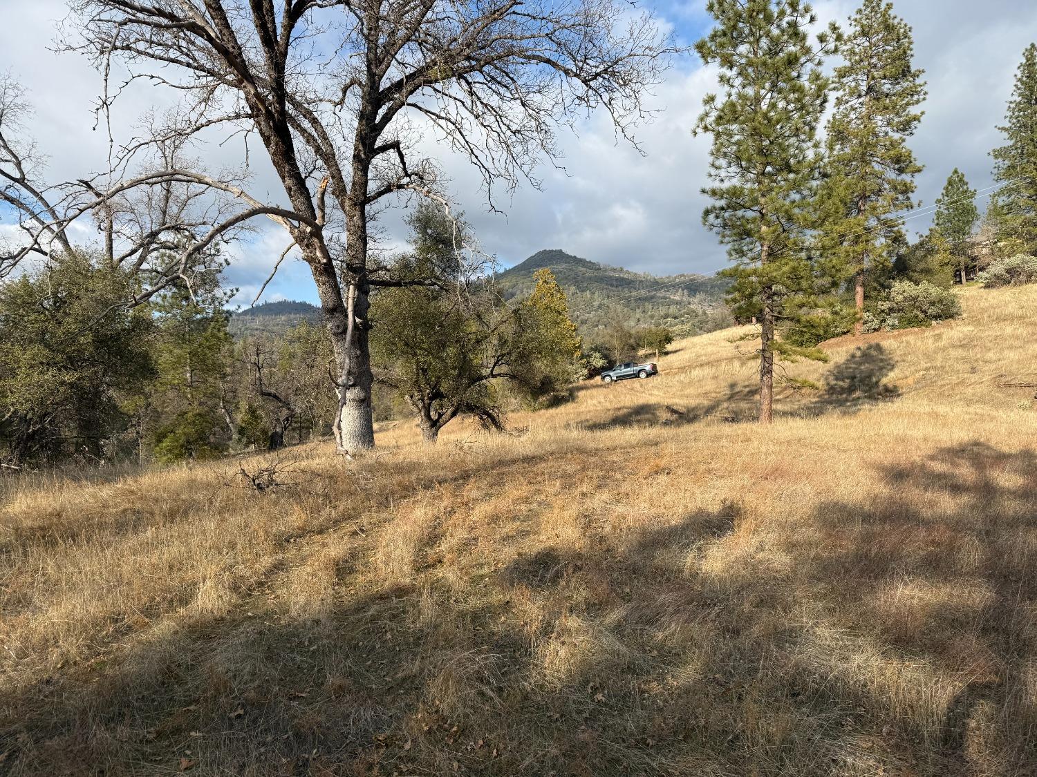 65 McDaniel Dr, North Fork, CA 93643