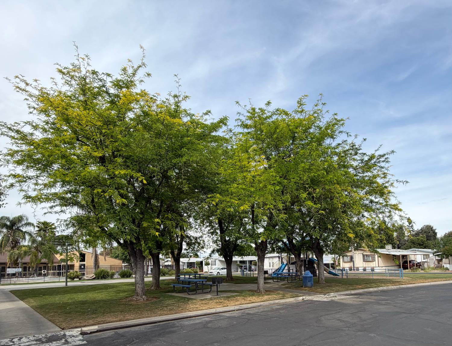 336 E Alluvial Ave #98, Fresno, CA 93720