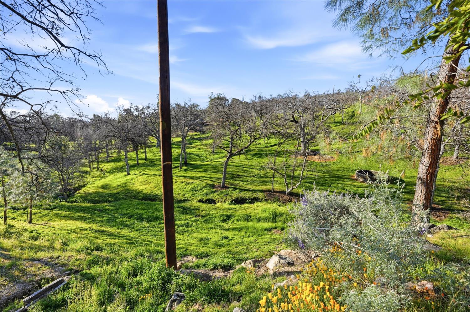 41900 Wild Horse Ct, Coarsegold, CA 93614