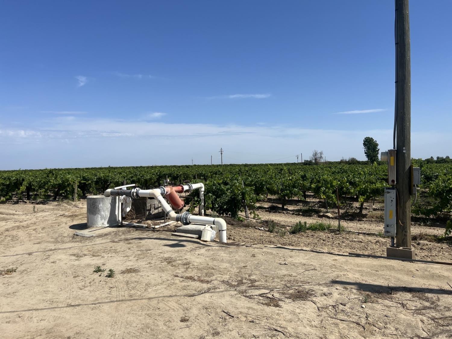 0 00 27.53 Acs., Selma, CA 93662