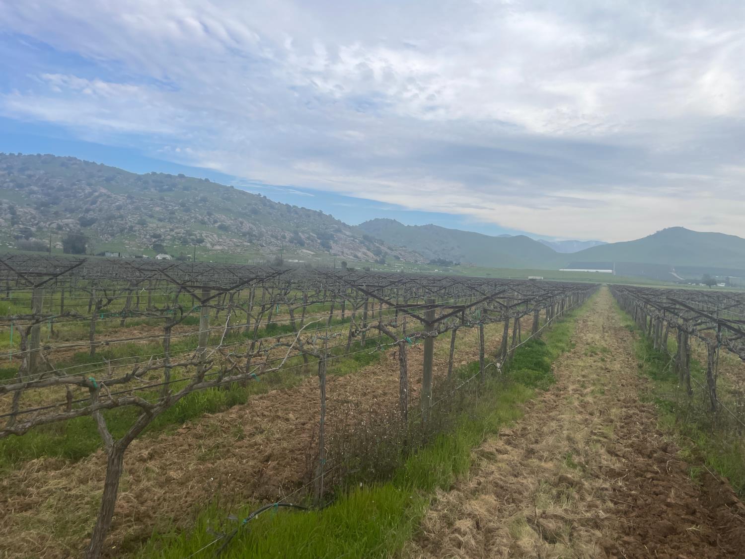 0 0 E Olive Ave E, Porterville, CA 93257