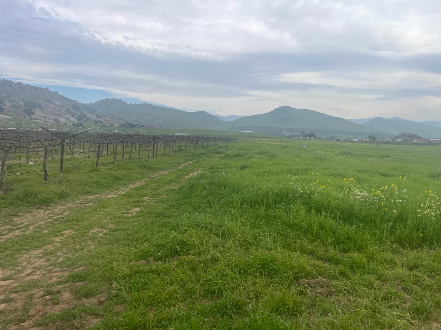 0 0 E Olive Ave E, Porterville, CA 93257