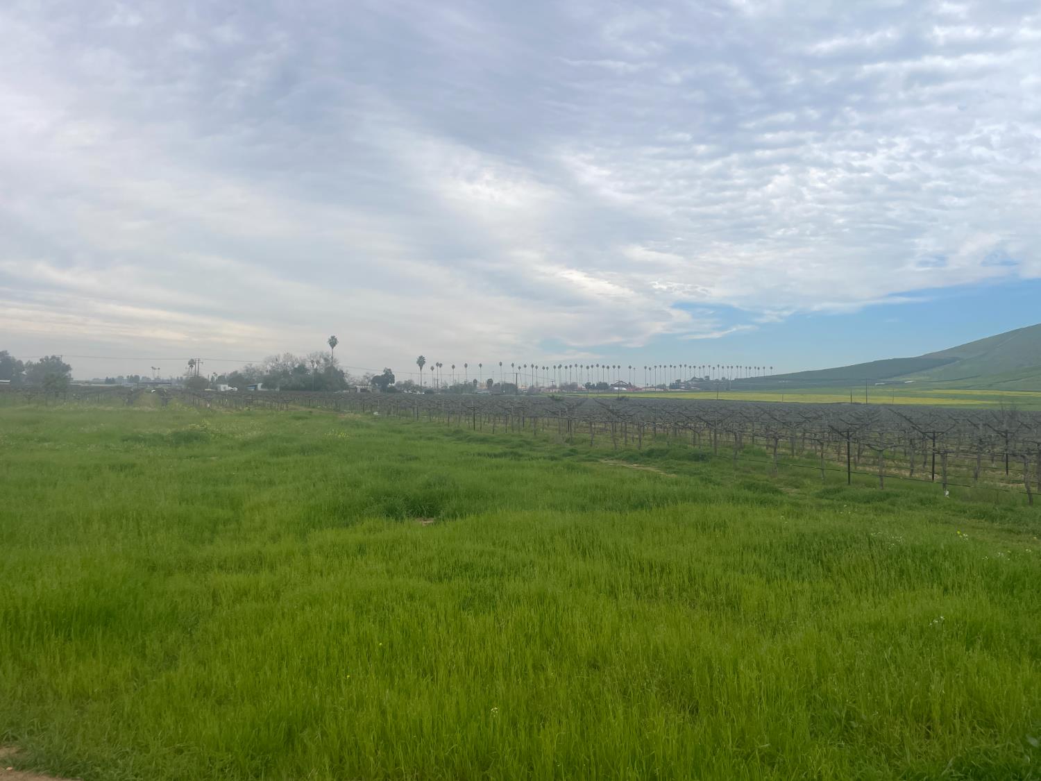 0 0 E Olive Ave E, Porterville, CA 93257