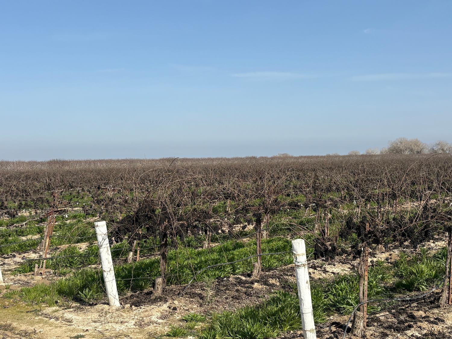 17600 Jerrold, Mendota, CA 93640