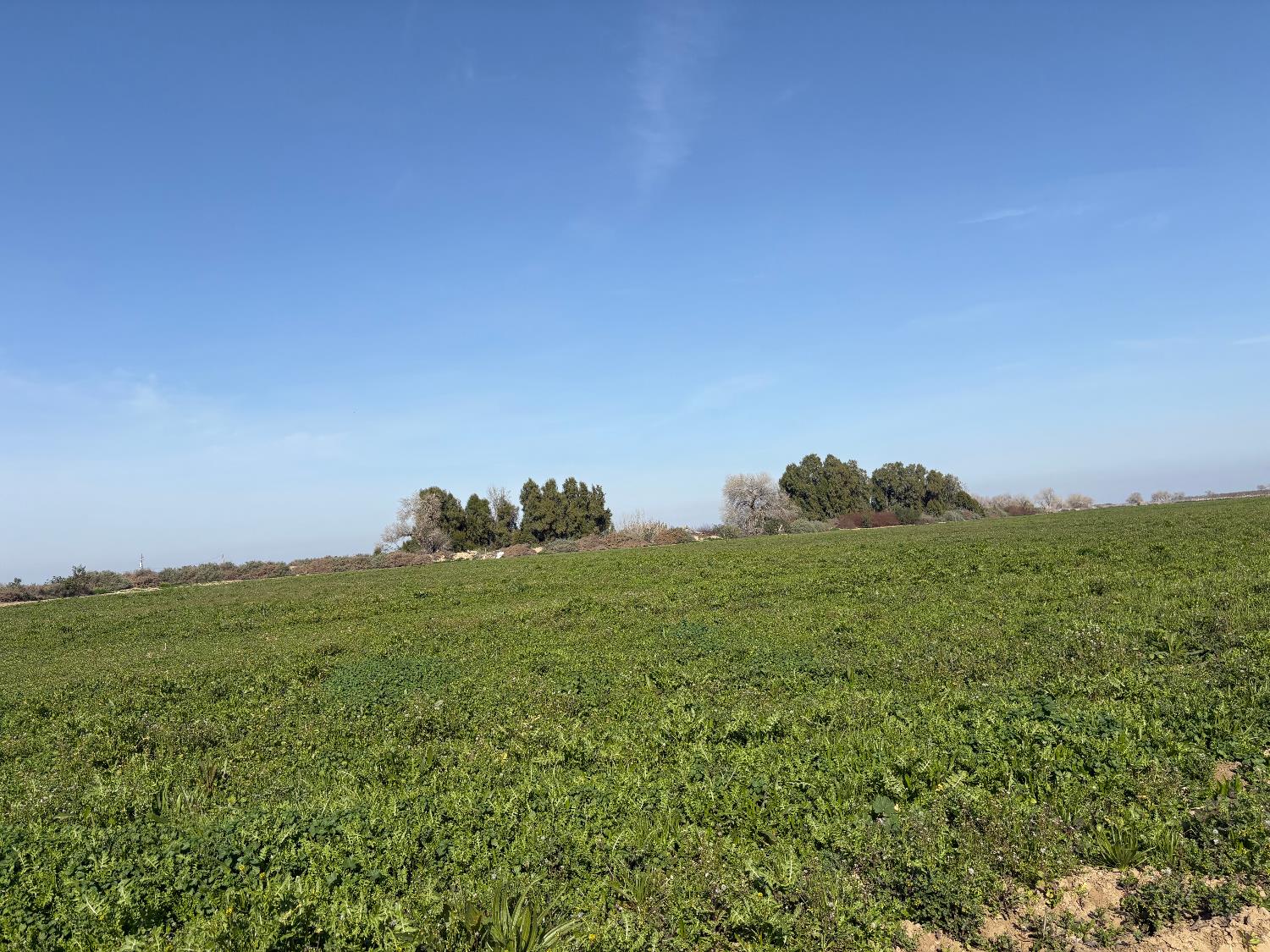 17600 Jerrold, Mendota, CA 93640