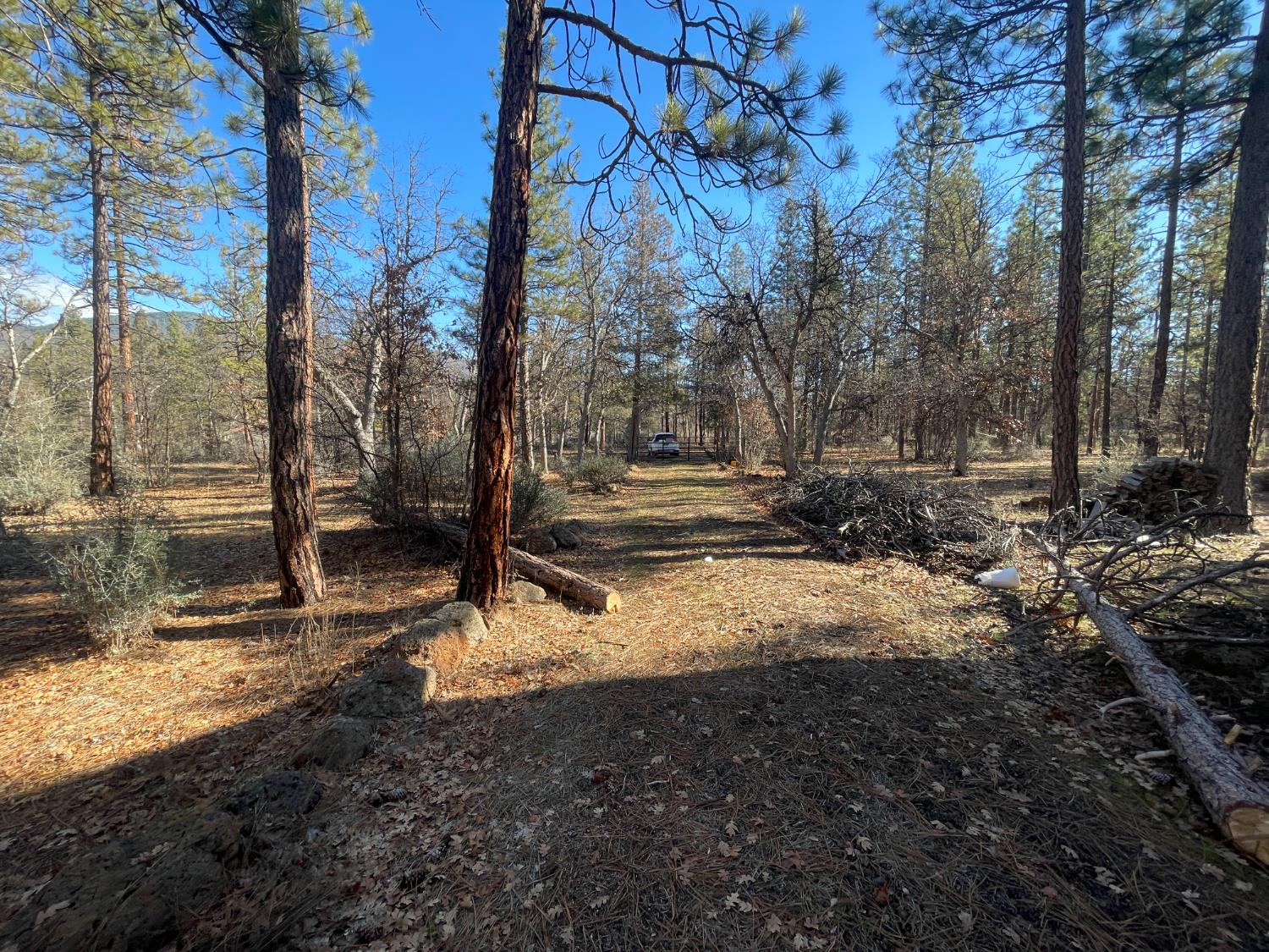 29352 roads end, Fall River Mills, CA 96056