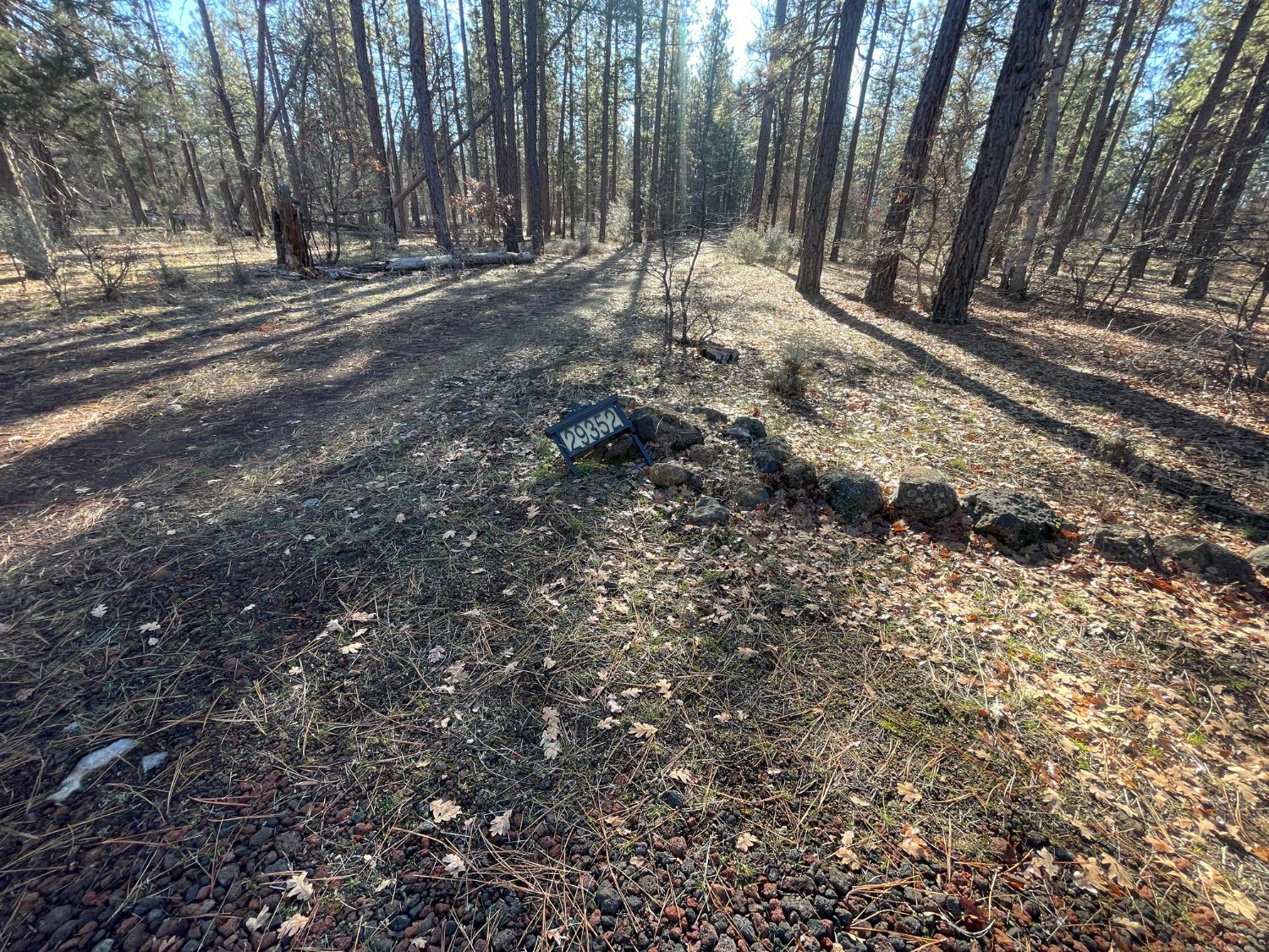 29352 roads end, Fall River Mills, CA 96056