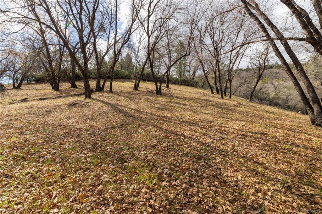 52815 Timberview Rd, North Fork, CA 93643