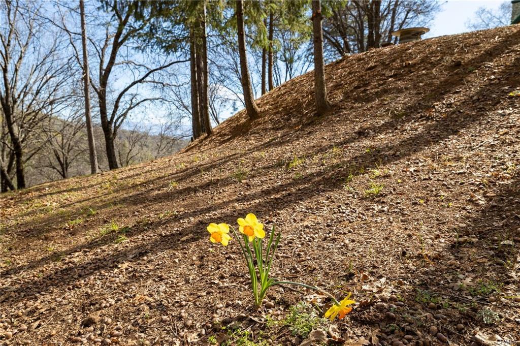 52815 Timberview Rd, North Fork, CA 93643