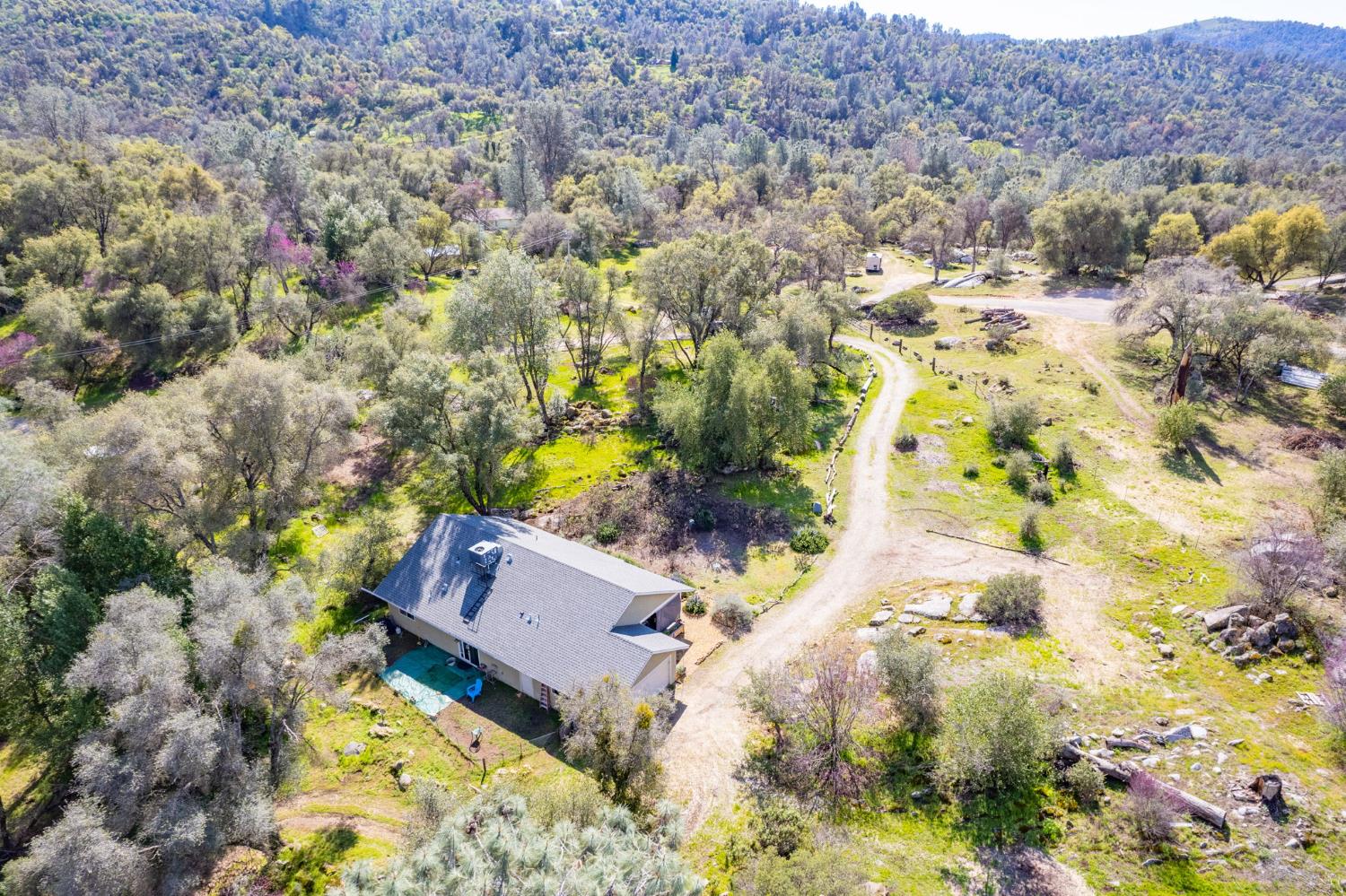 4853 Daffodil Dr, Mariposa, CA 95338