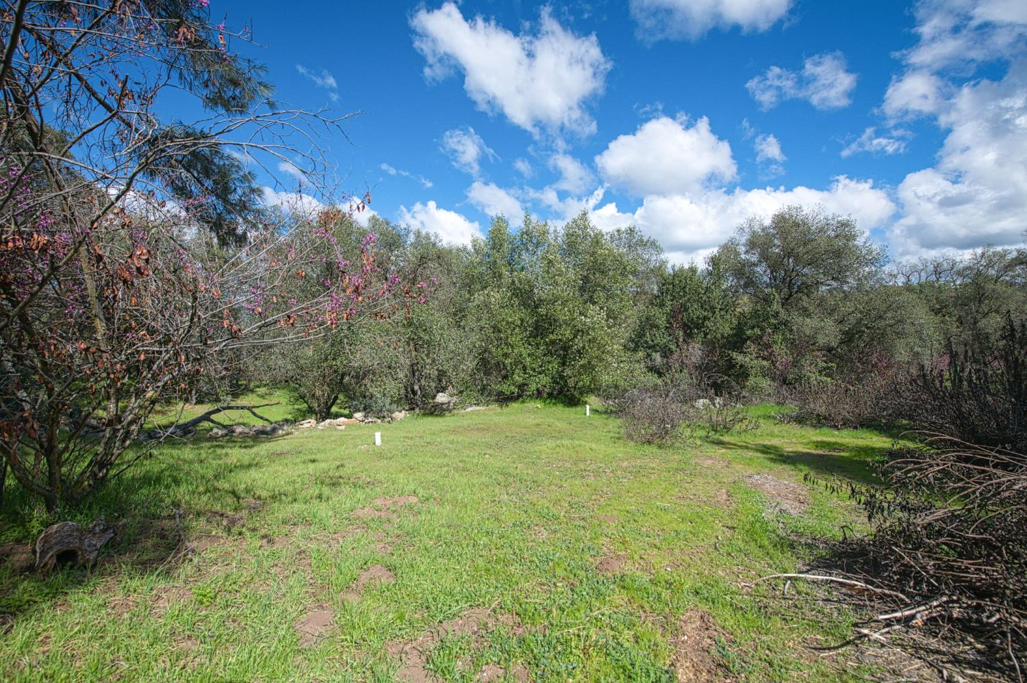 4853 Daffodil Dr, Mariposa, CA 95338