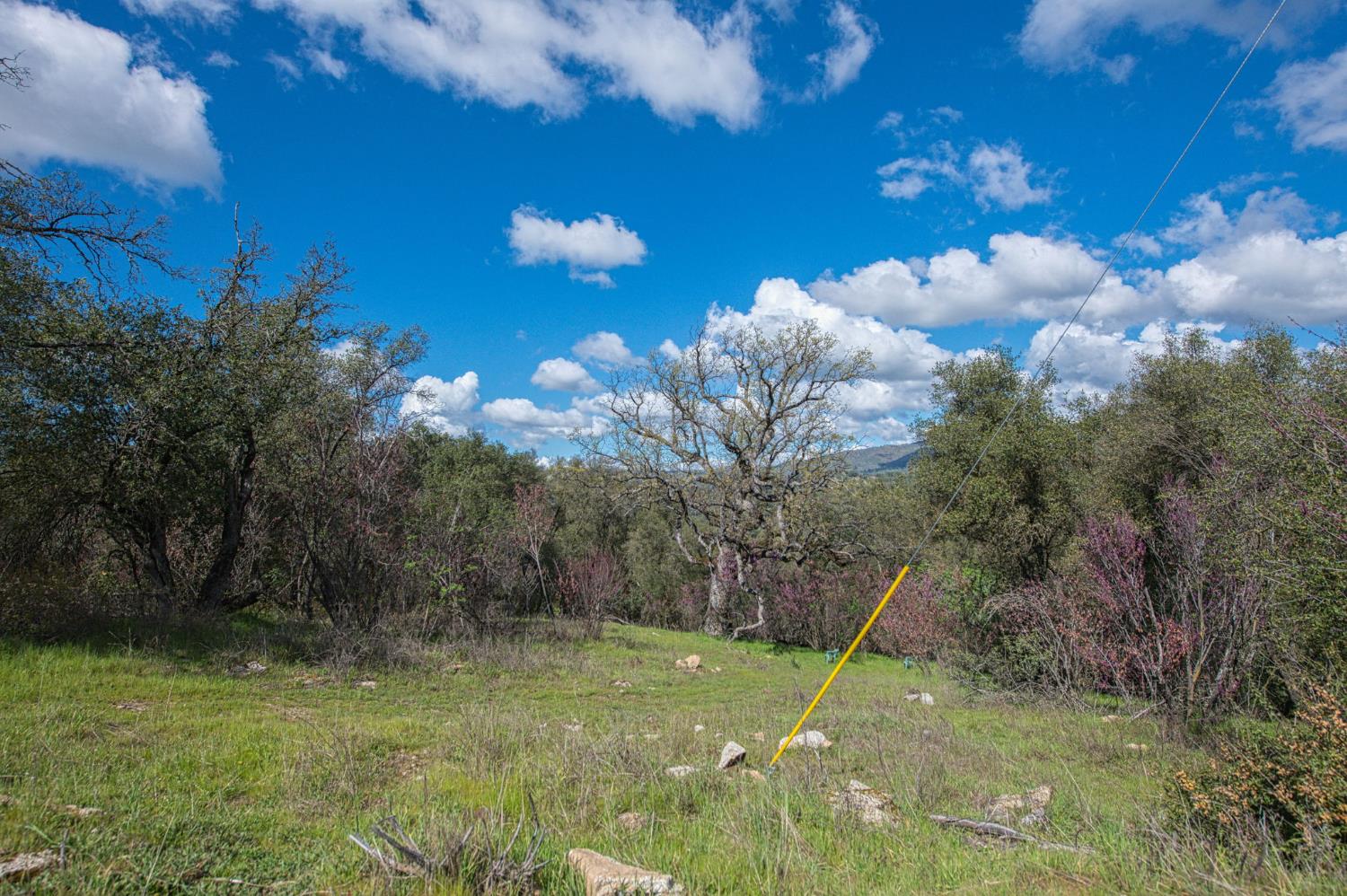 4853 Daffodil Dr, Mariposa, CA 95338