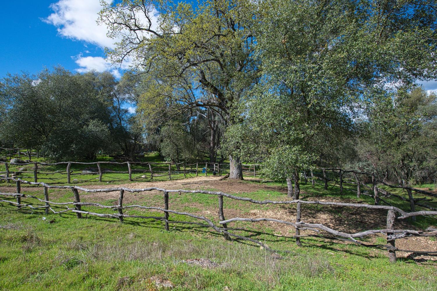 4853 Daffodil Dr, Mariposa, CA 95338