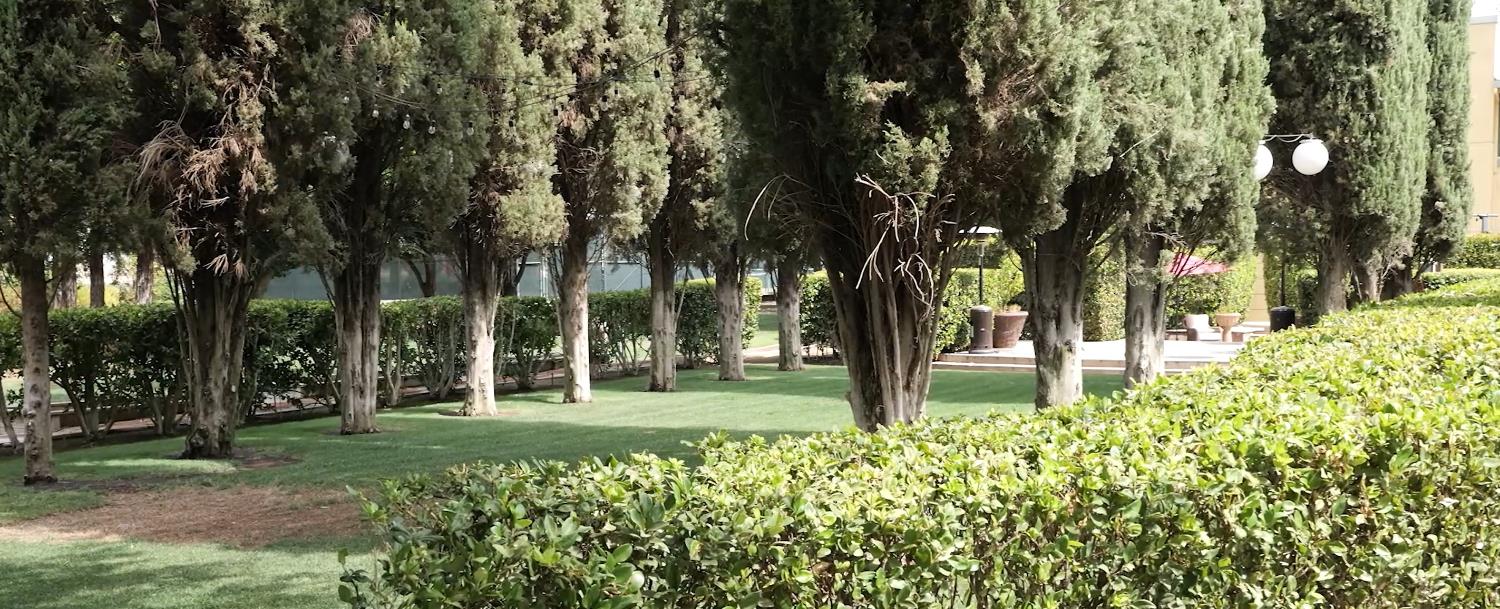12950 N Willow Ave, Clovis, CA 93619