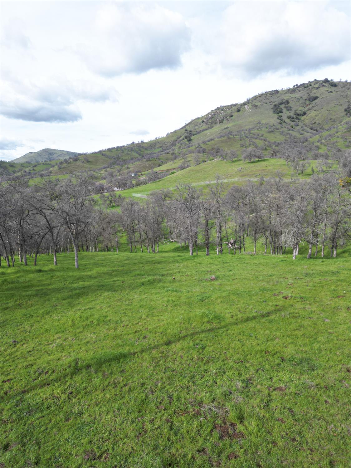 173 Lot Rodeo Dr, Sanger, CA 93657