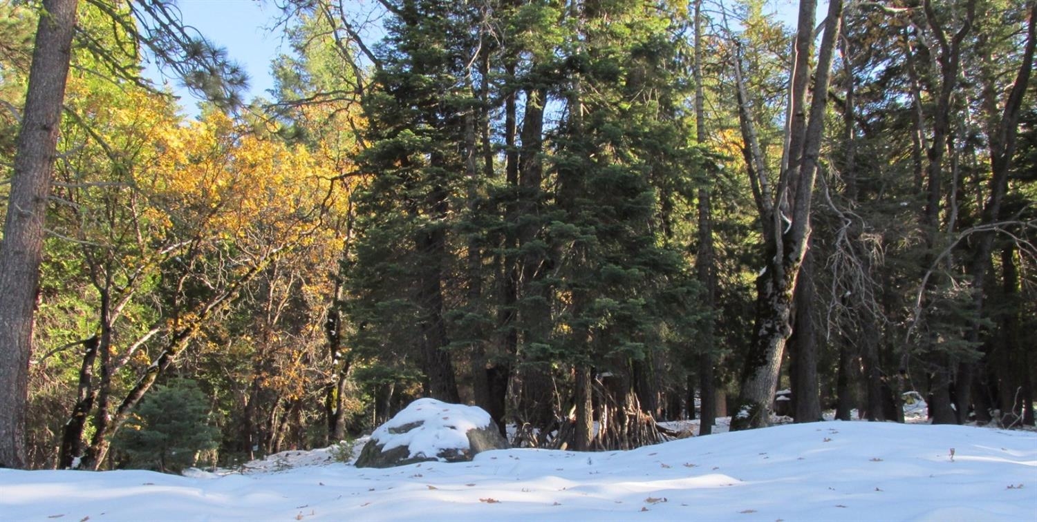 7497 Henness Cir, Yosemite West, CA 95389