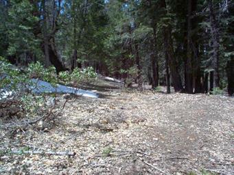 7497 Henness Cir, Yosemite West, CA 95389