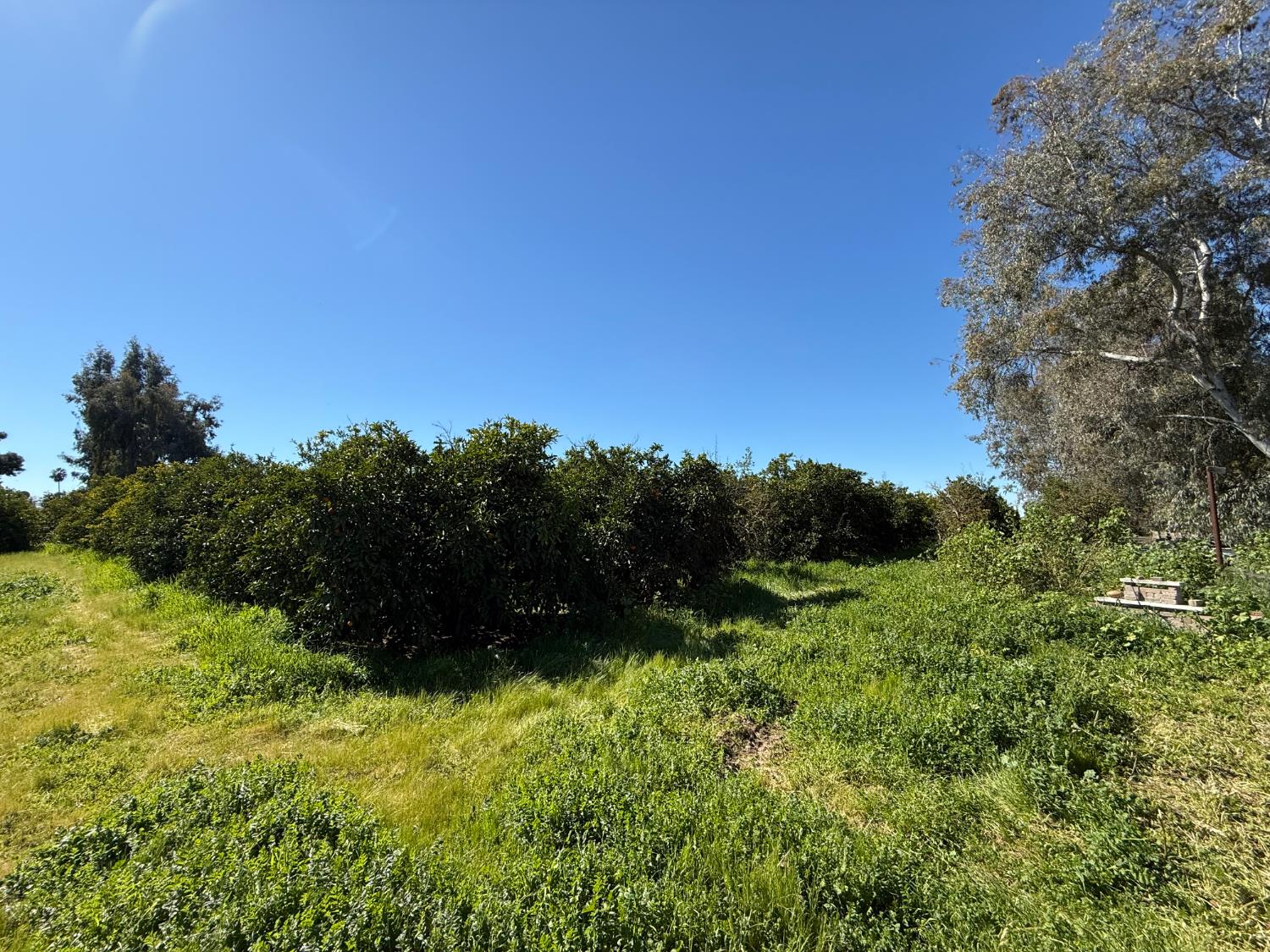 6545 S Cedar Ave, Fresno, CA 93725