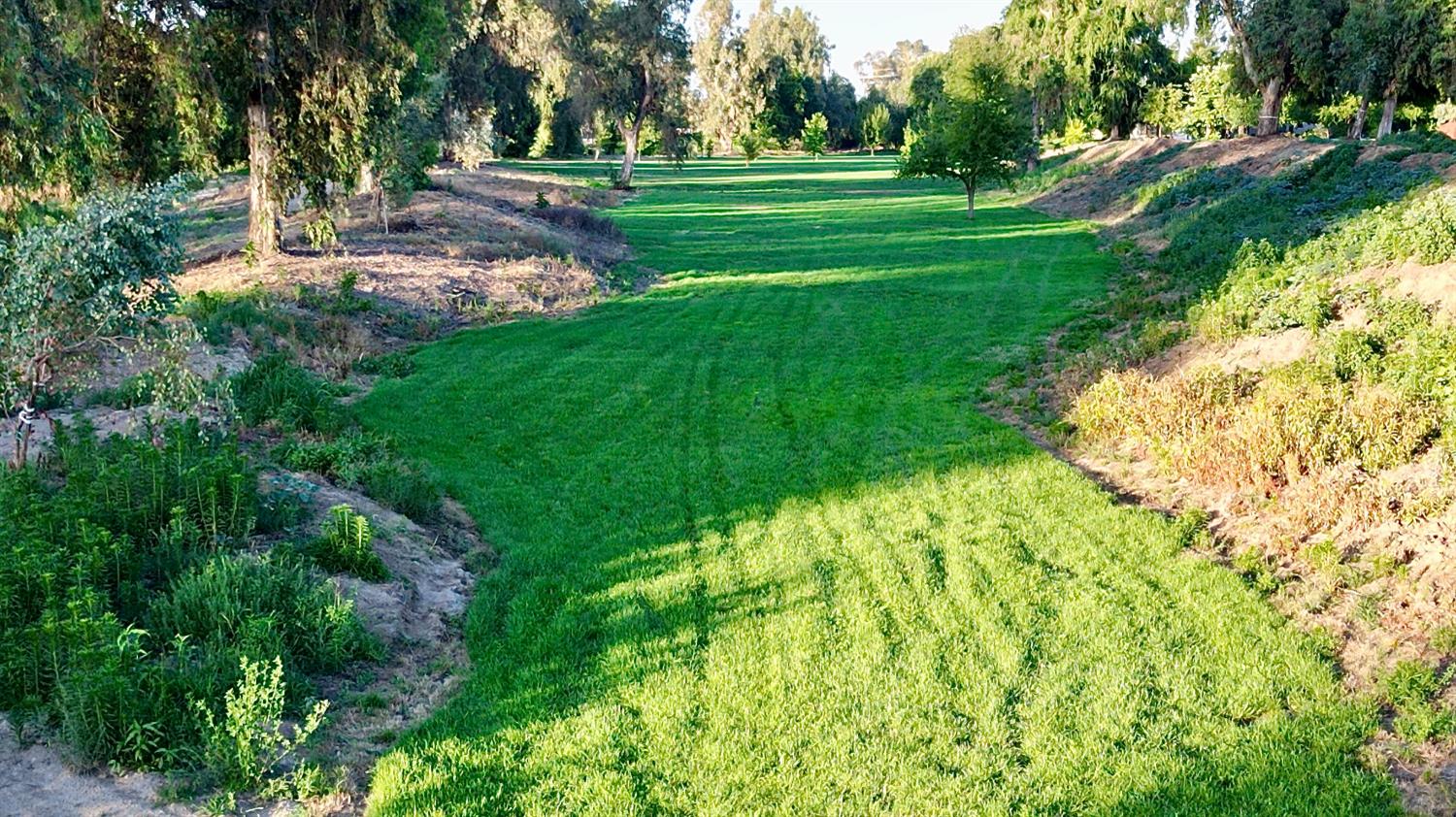 5750 Benicia Ave, Kingsburg, CA 93631