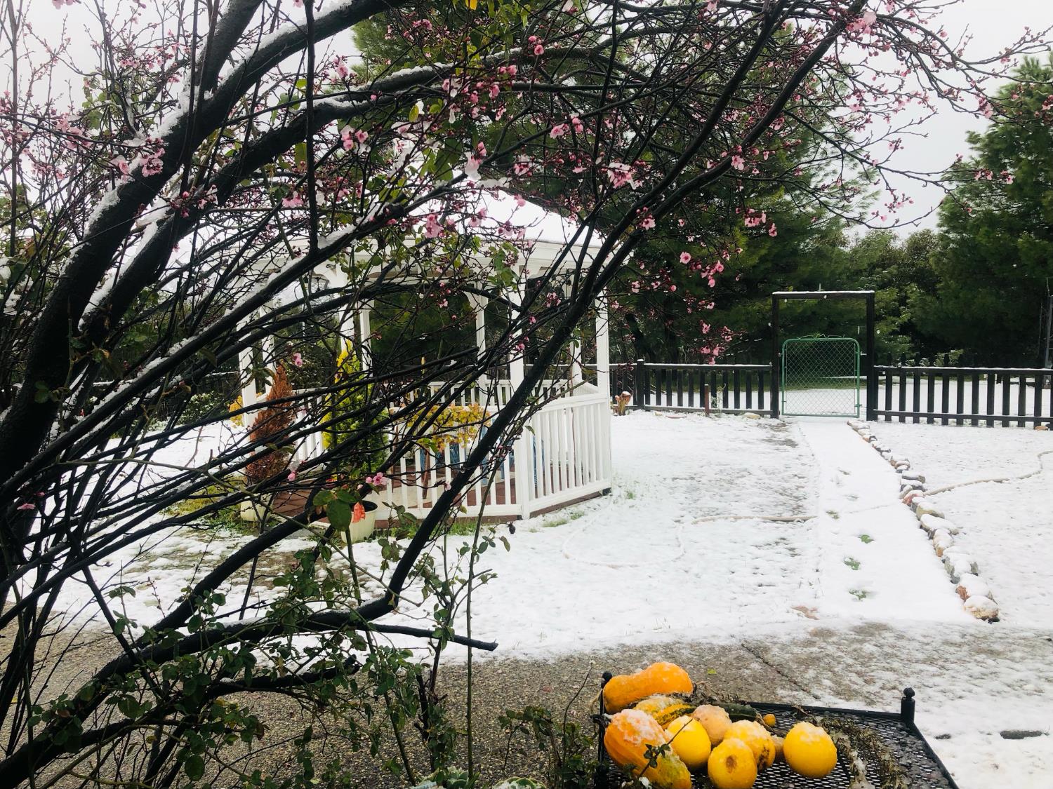 44800 Ahwahnee Acres Rd, Ahwahnee, CA 93601