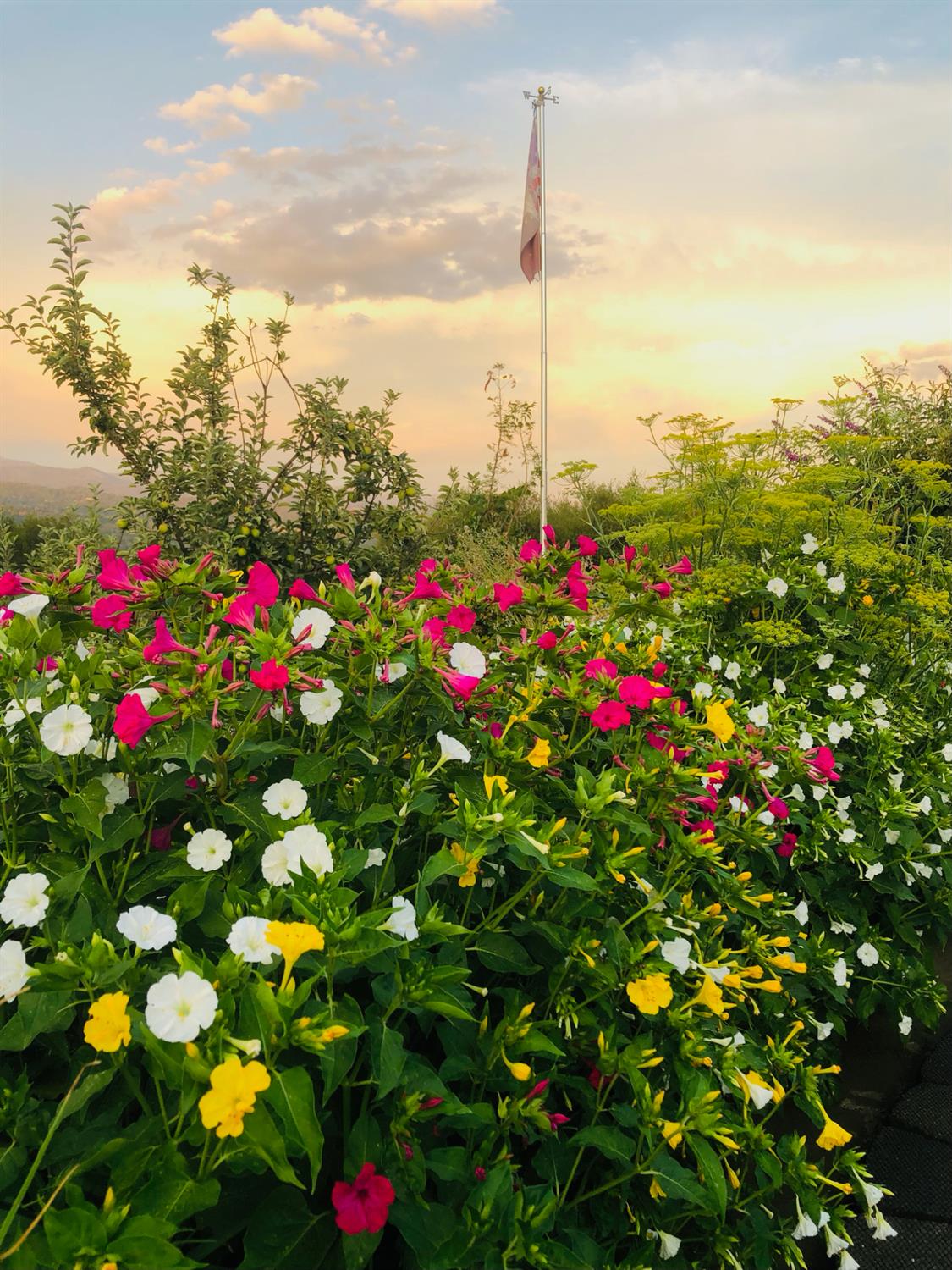 44800 Ahwahnee Acres Rd, Ahwahnee, CA 93601