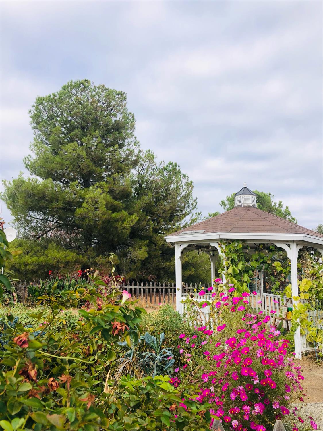 44800 Ahwahnee Acres Rd, Ahwahnee, CA 93601