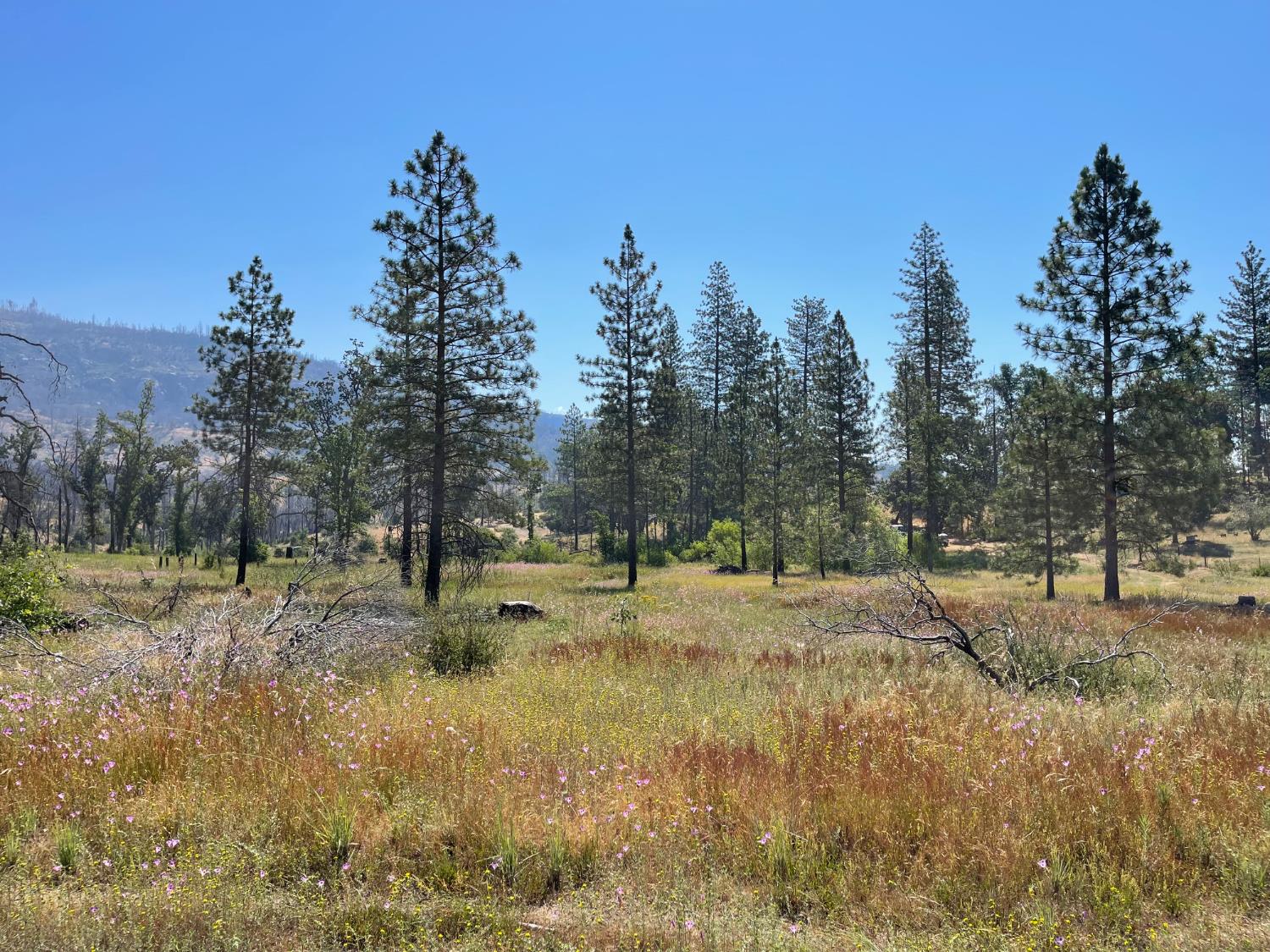 34344 Shaver Springs Rd, Auberry, CA 93602