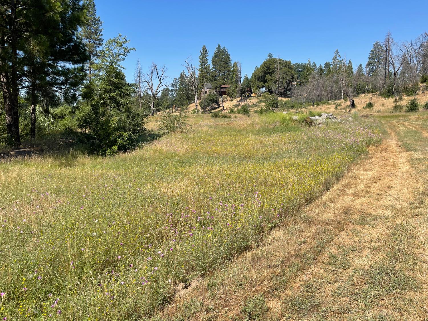 34344 Shaver Springs Rd, Auberry, CA 93602