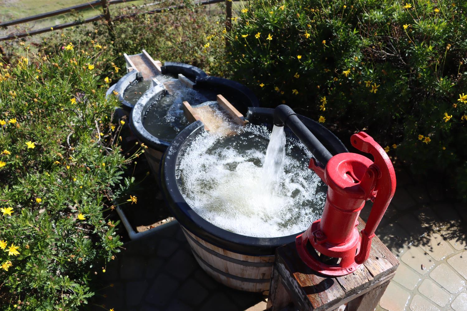 41915 John Muir Dr, Coarsegold, CA 93614