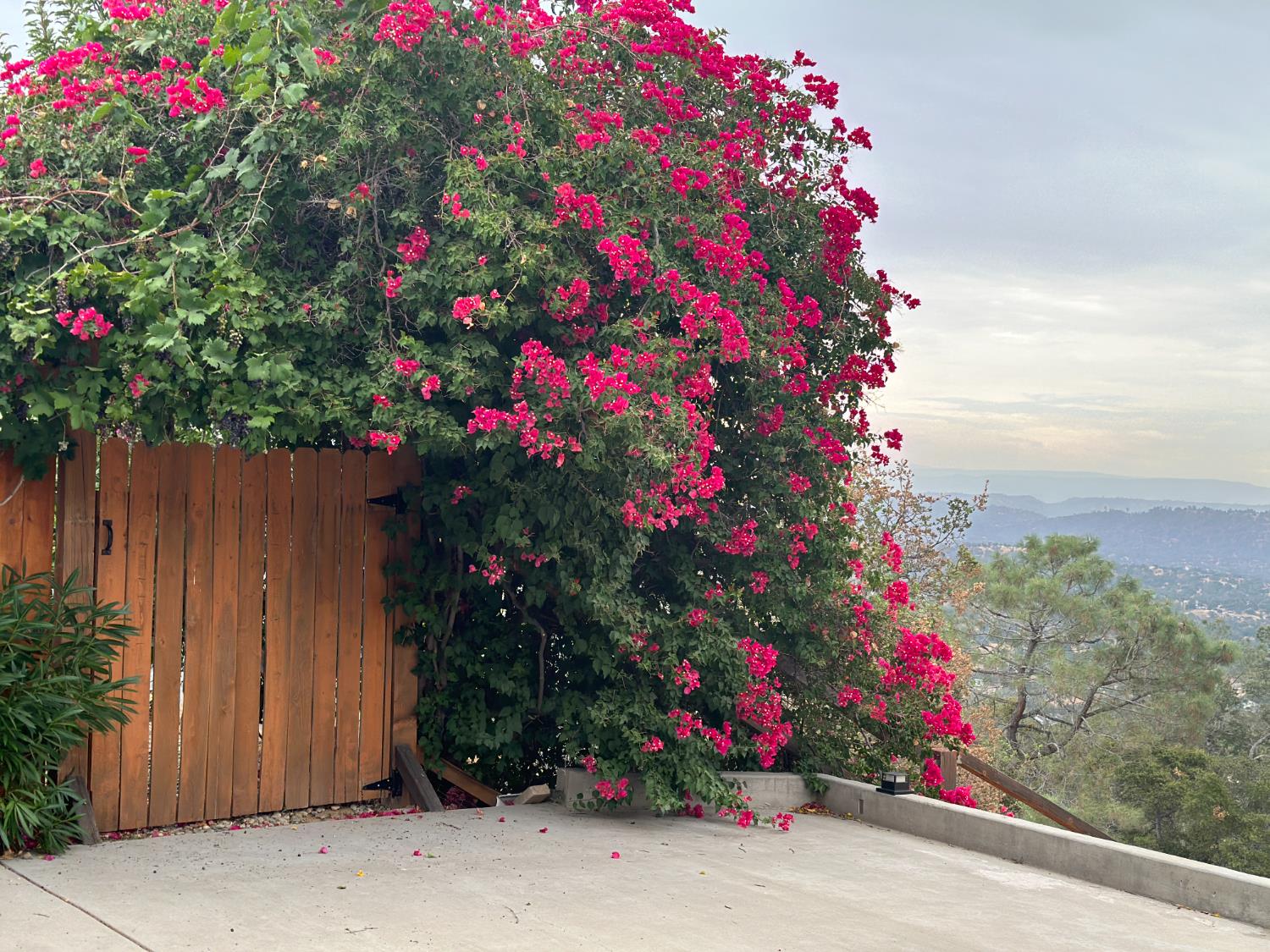 41915 John Muir Dr, Coarsegold, CA 93614