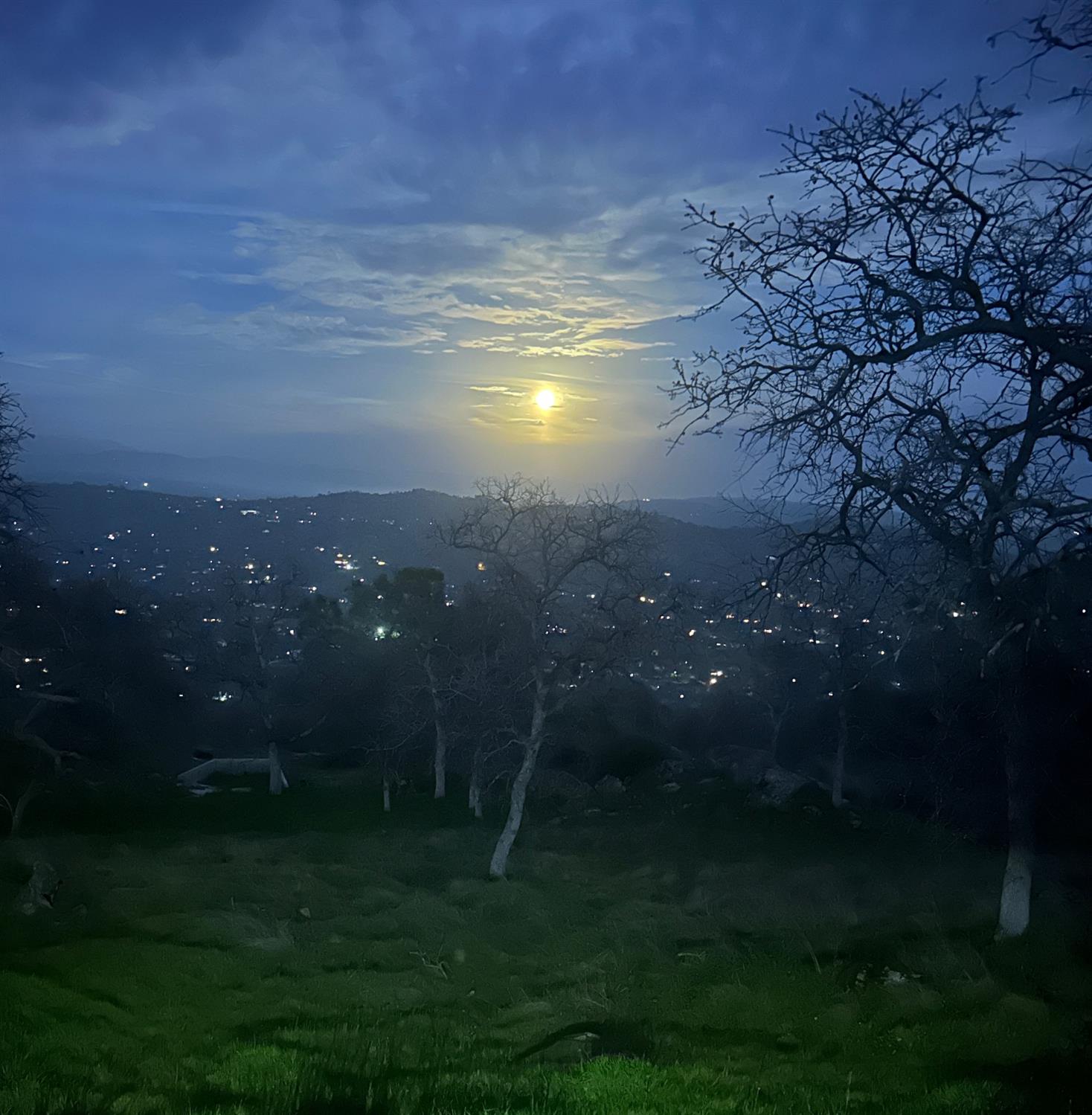 41915 John Muir Dr, Coarsegold, CA 93614