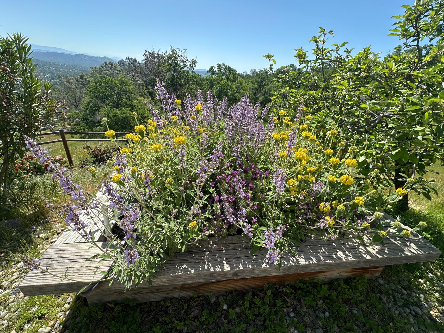 41915 John Muir Dr, Coarsegold, CA 93614