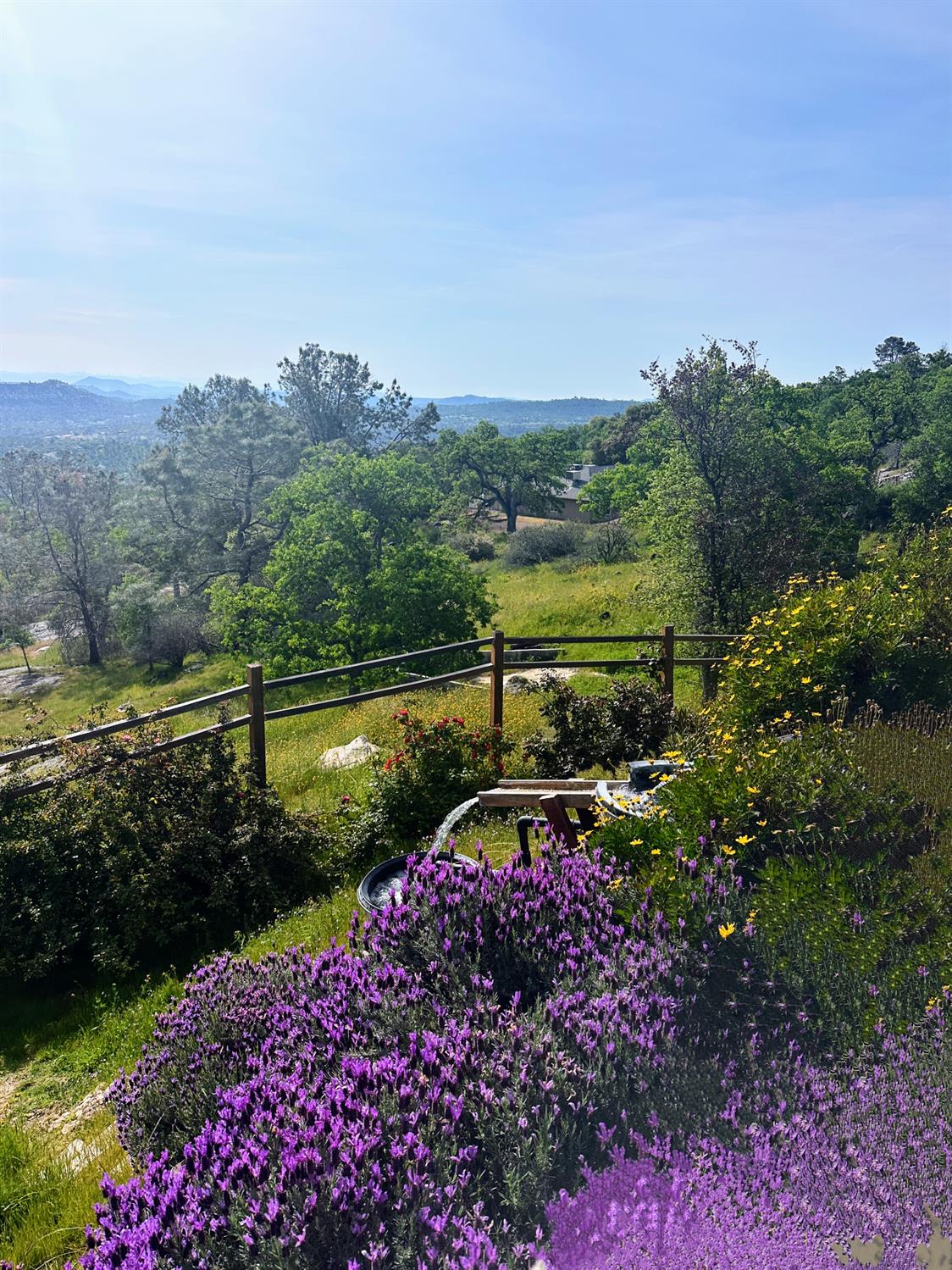 41915 John Muir Dr, Coarsegold, CA 93614