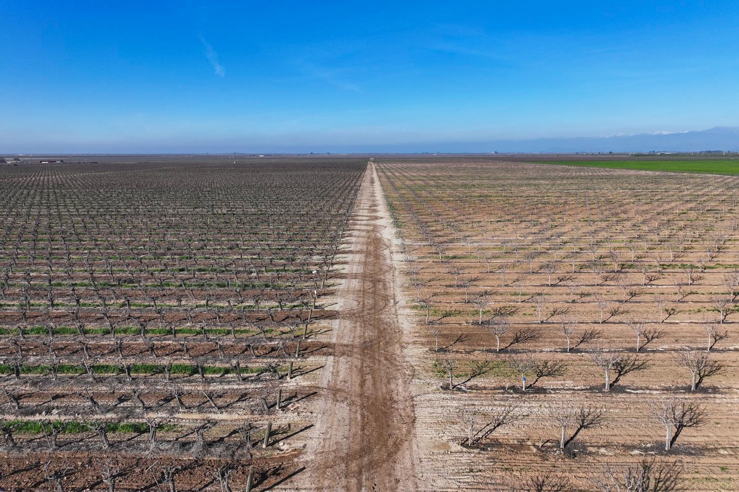 8000 Road 208, Terra Bella, CA 93270