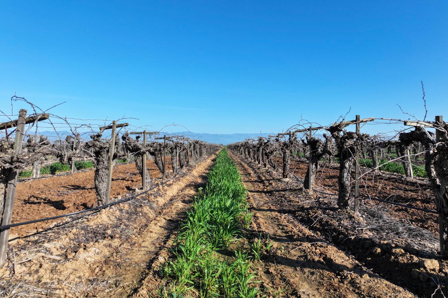 8000 Road 208, Terra Bella, CA 93270