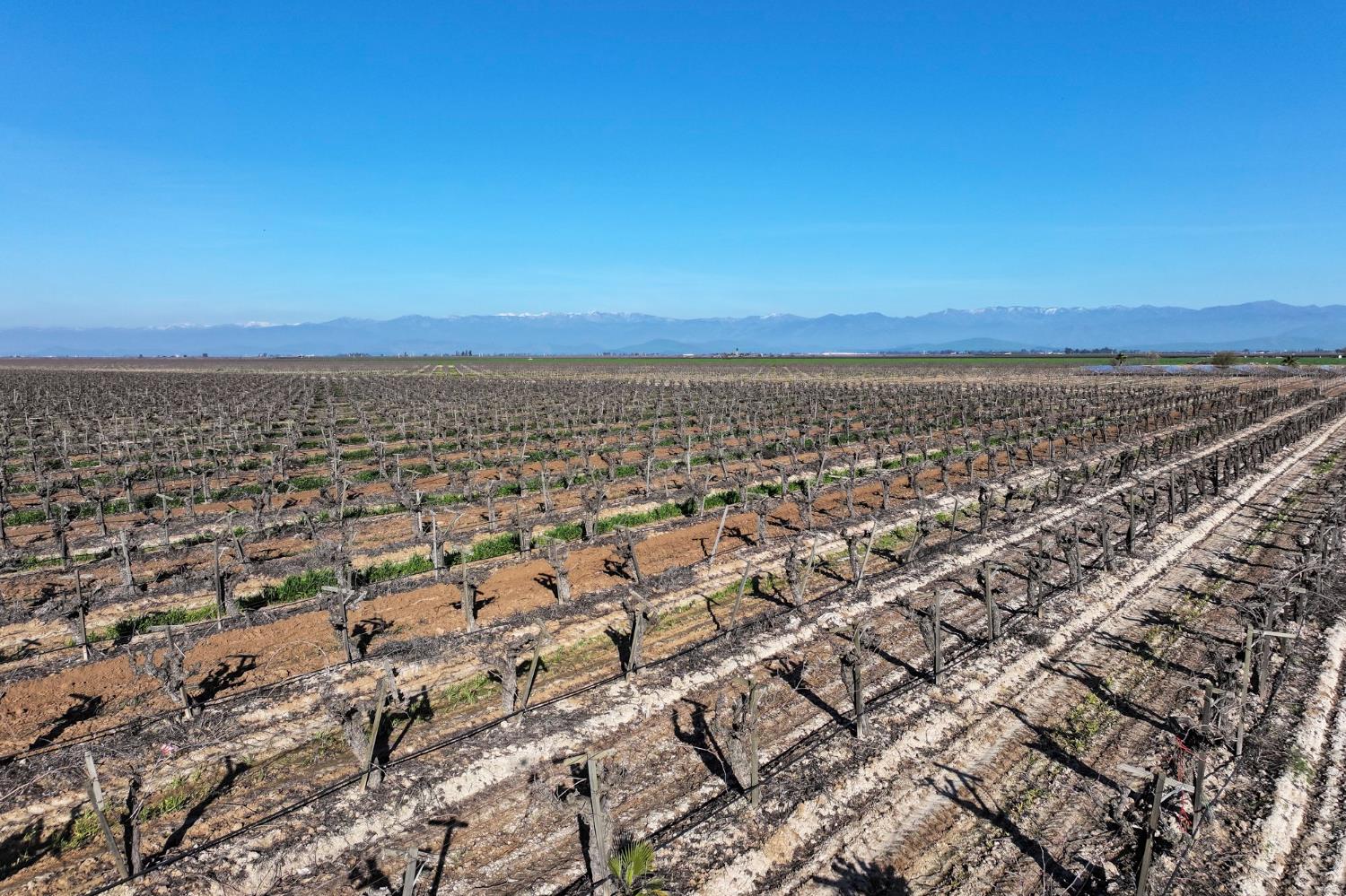 8000 Road 208, Terra Bella, CA 93270