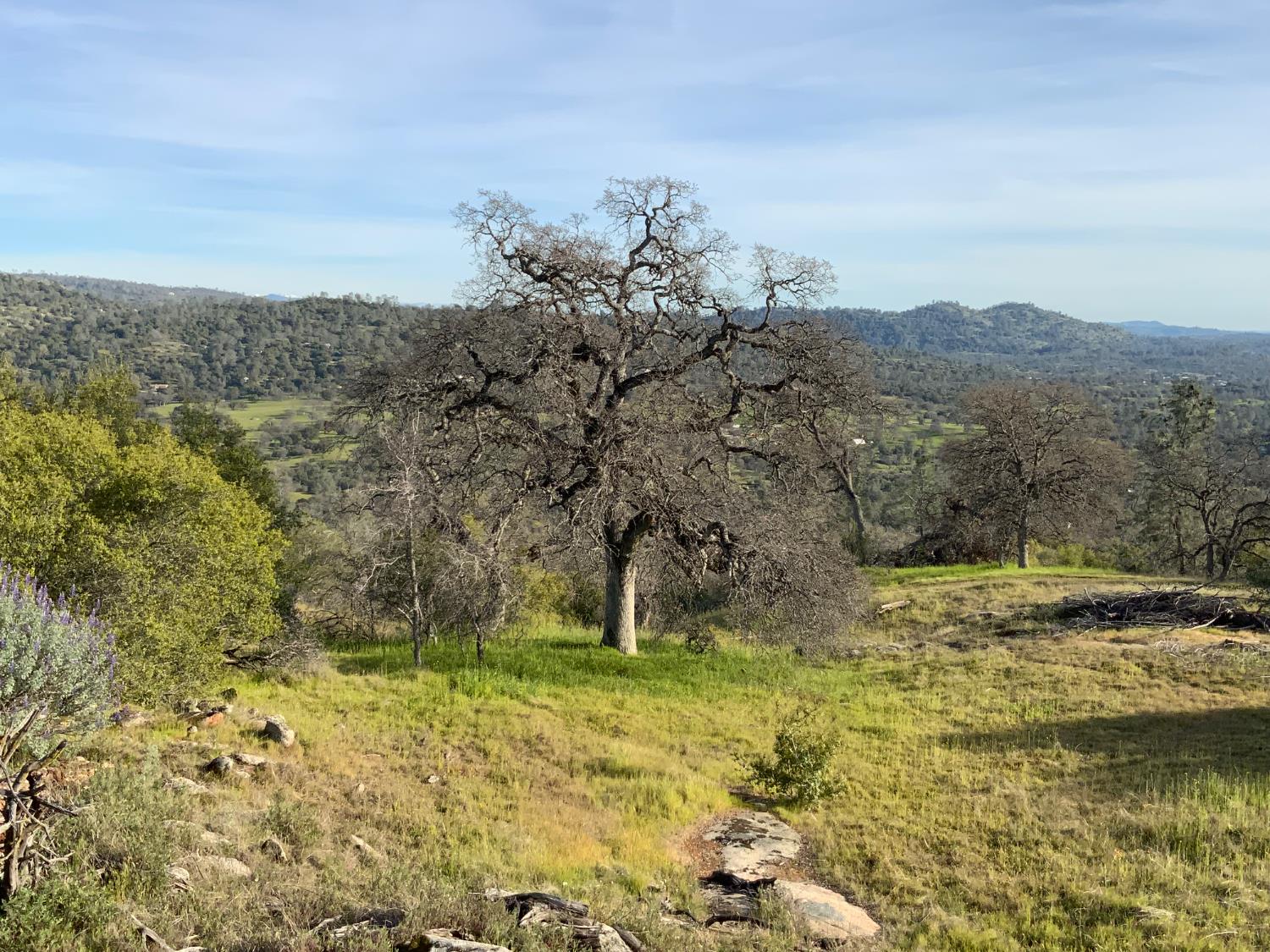 0 0 5.36 AC N Dome Dr, Coarsegold, CA 93614