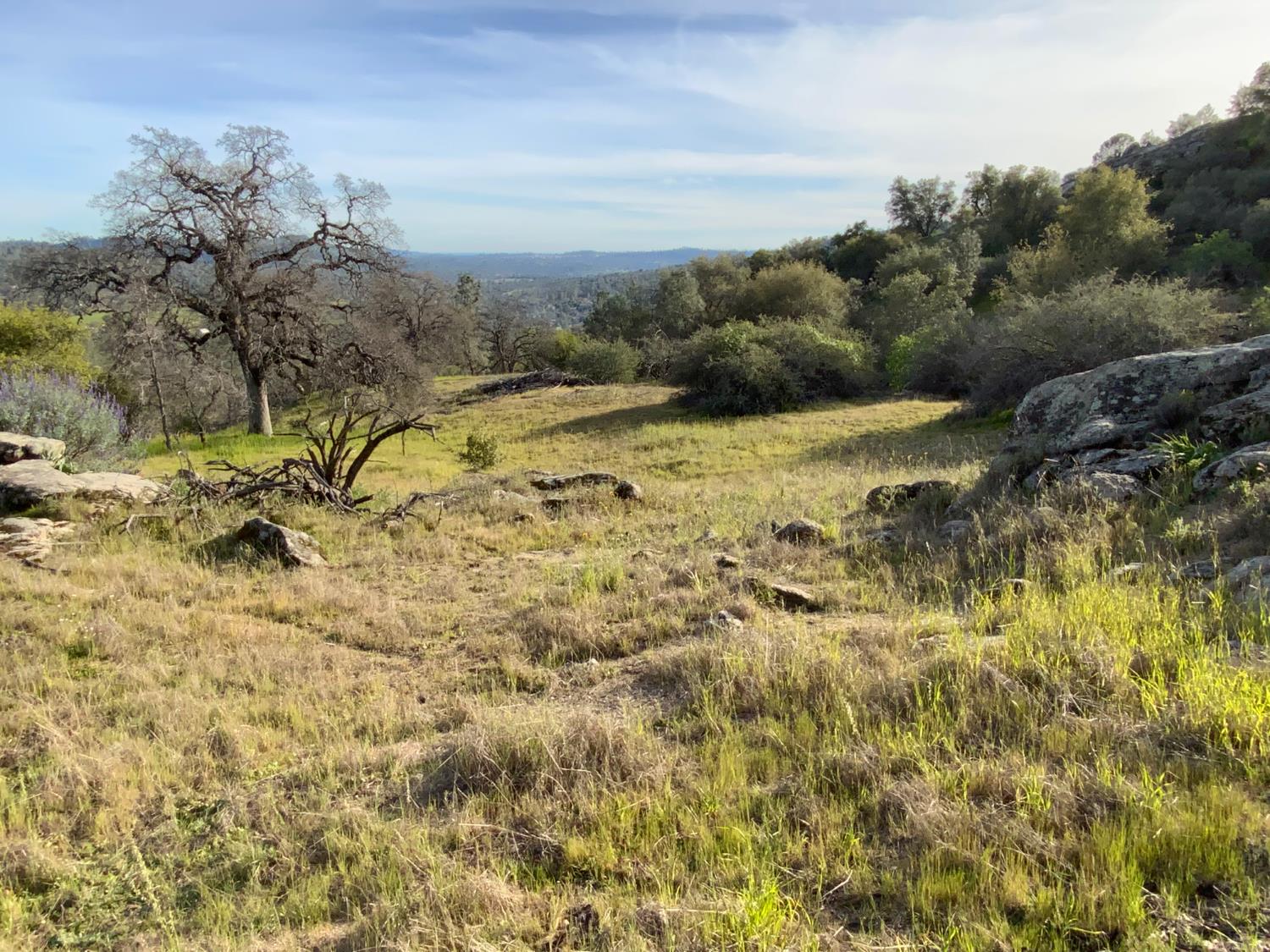 0 0 5.36 AC N Dome Dr, Coarsegold, CA 93614
